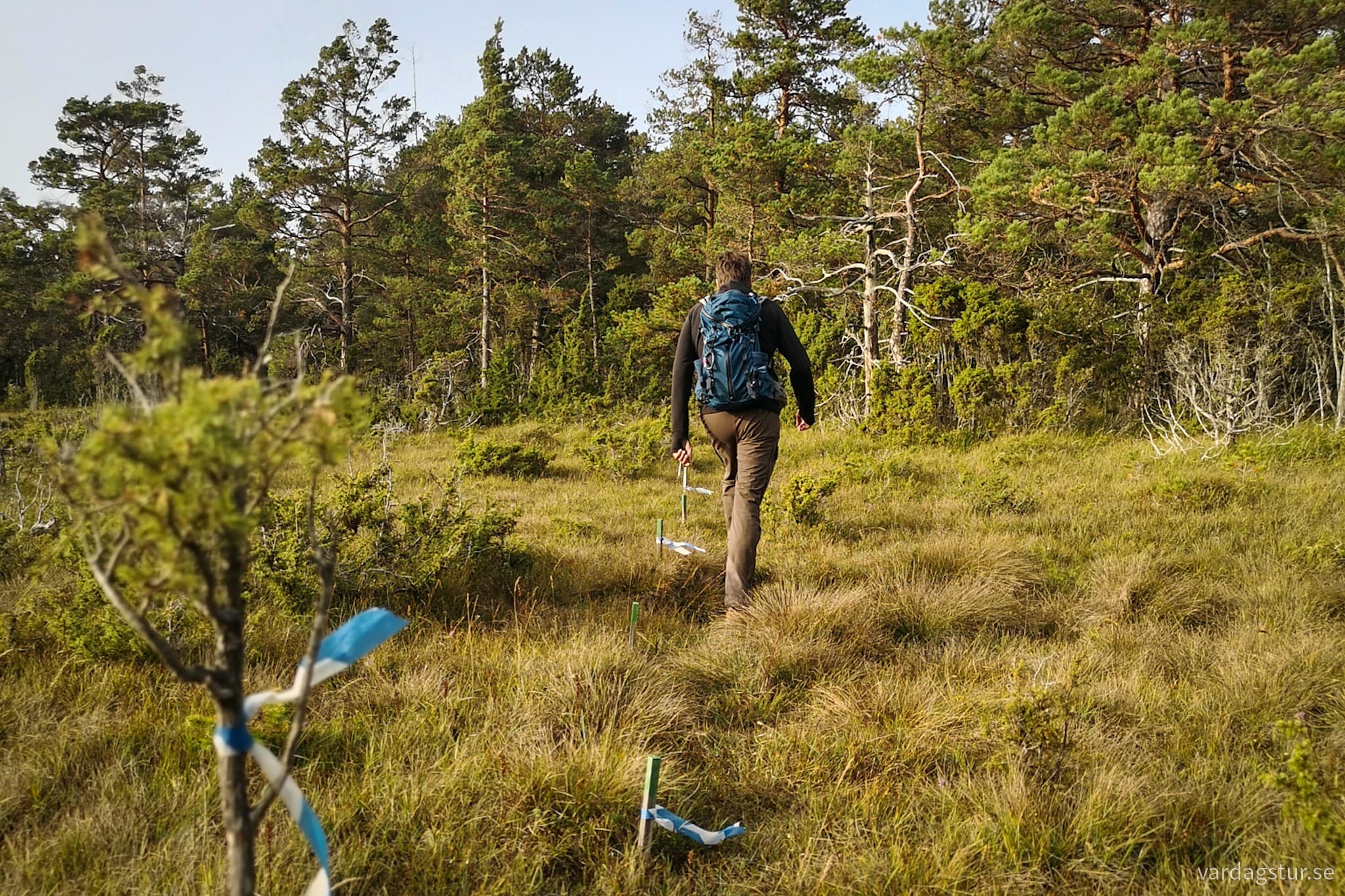 wp-16974786601514148741707815747719