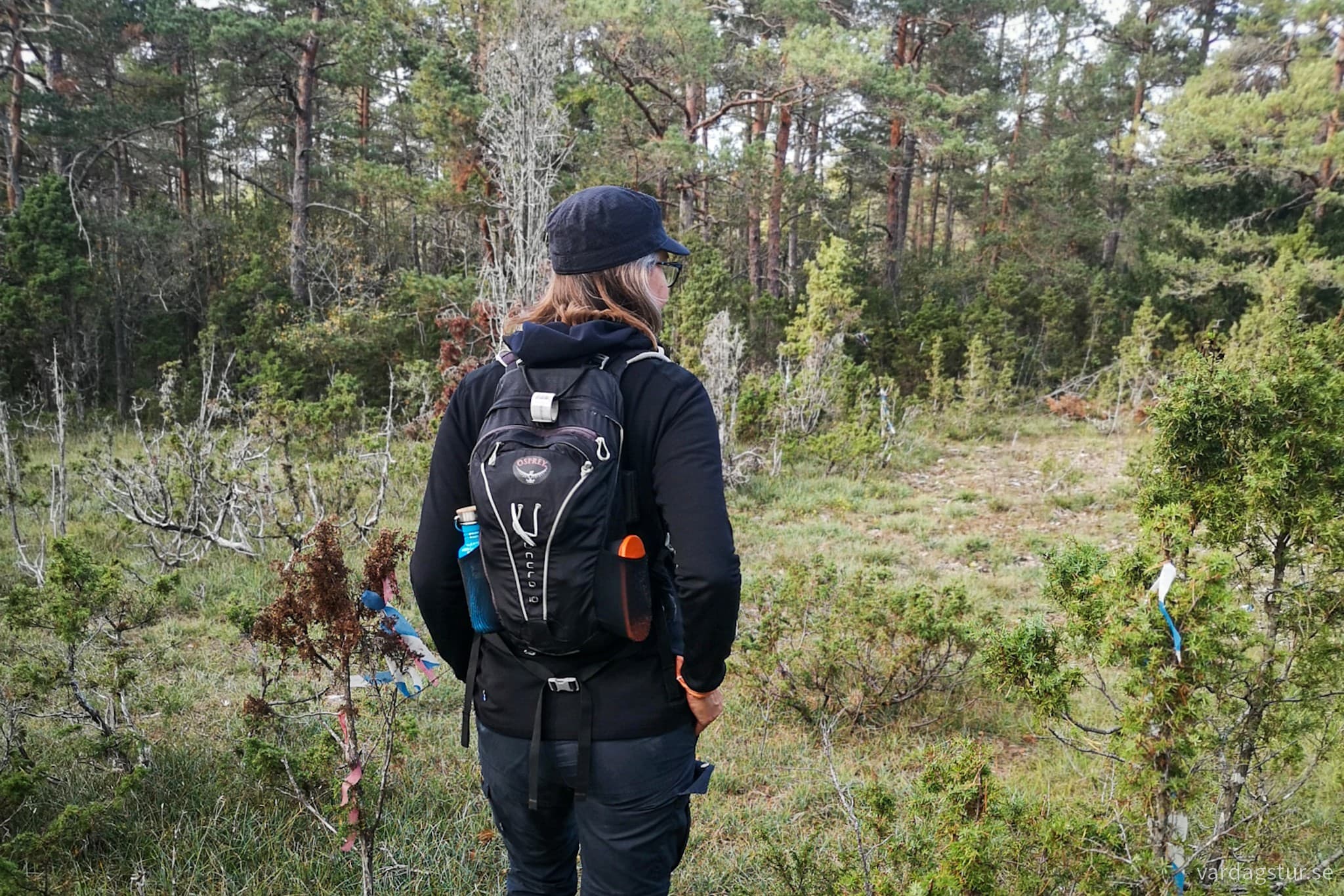 wp-16974786603798966355890922045148