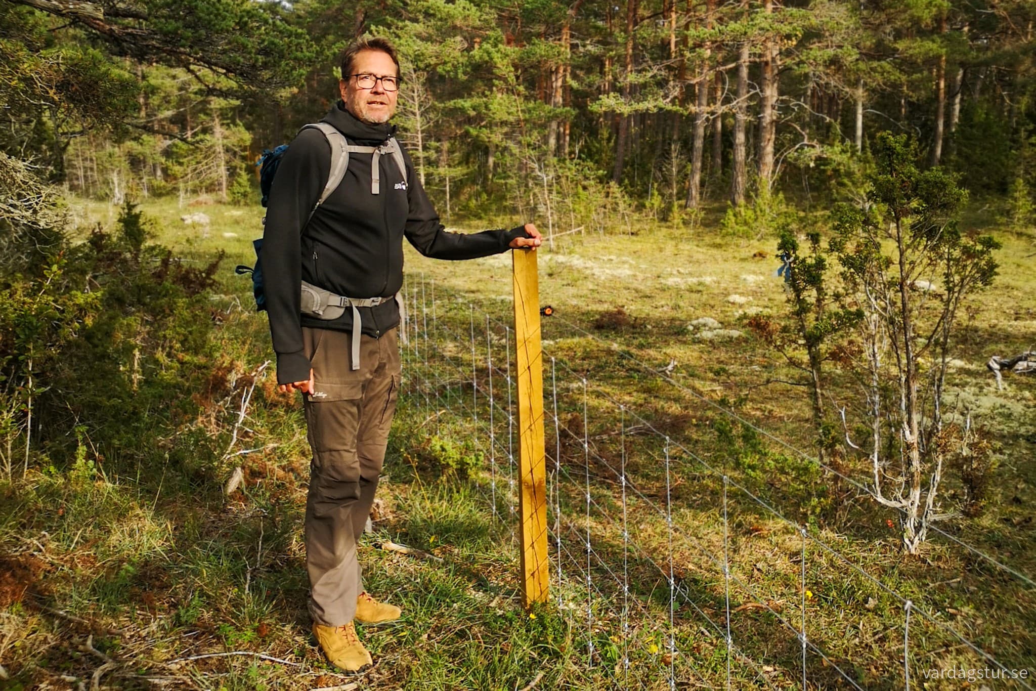 wp-16974786605778197377132826196040