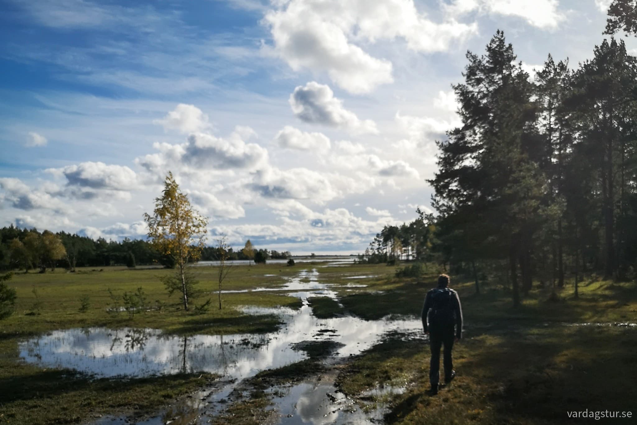 wp-1697876273615700924691380298033