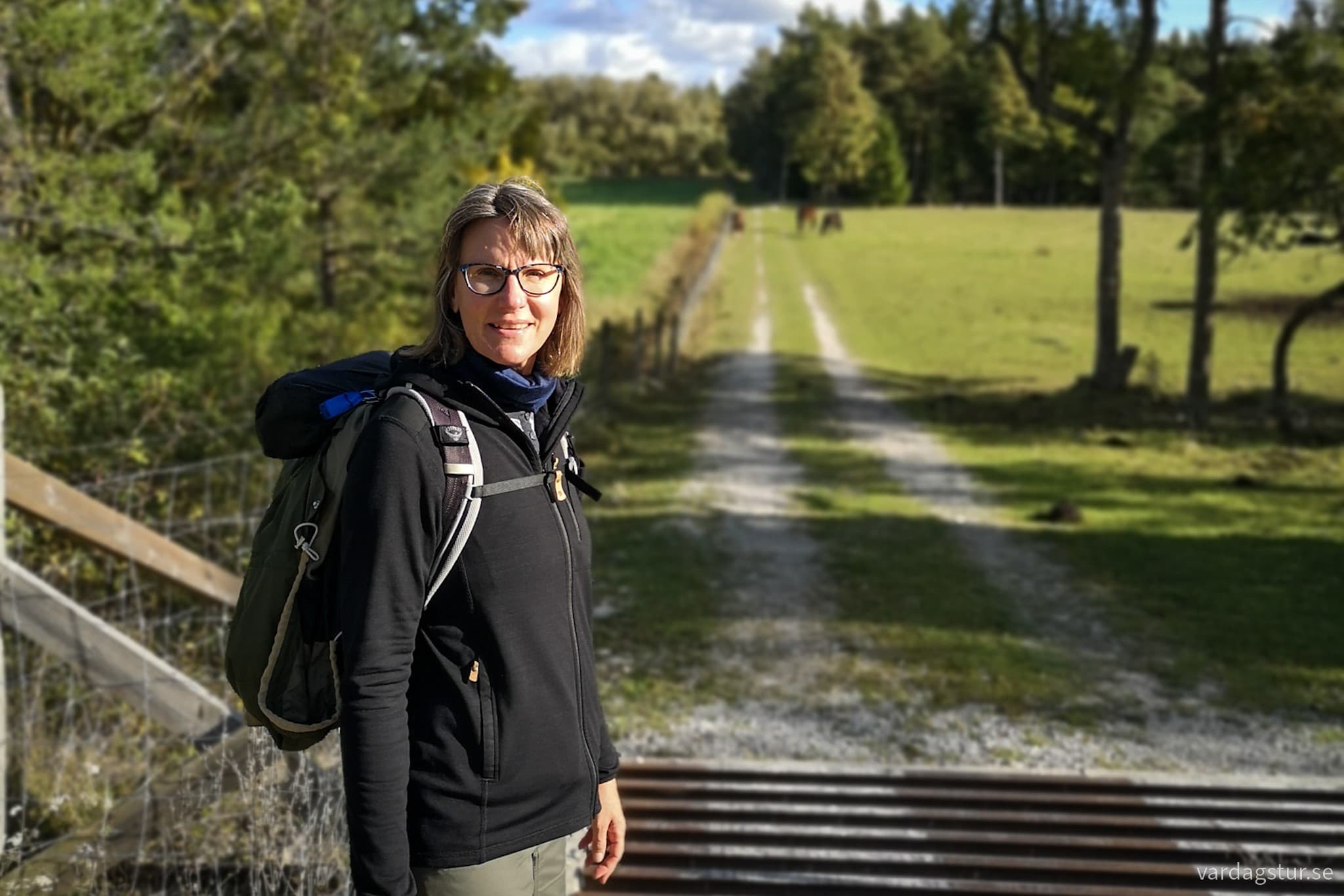 wp-1697876273977418873945397842419