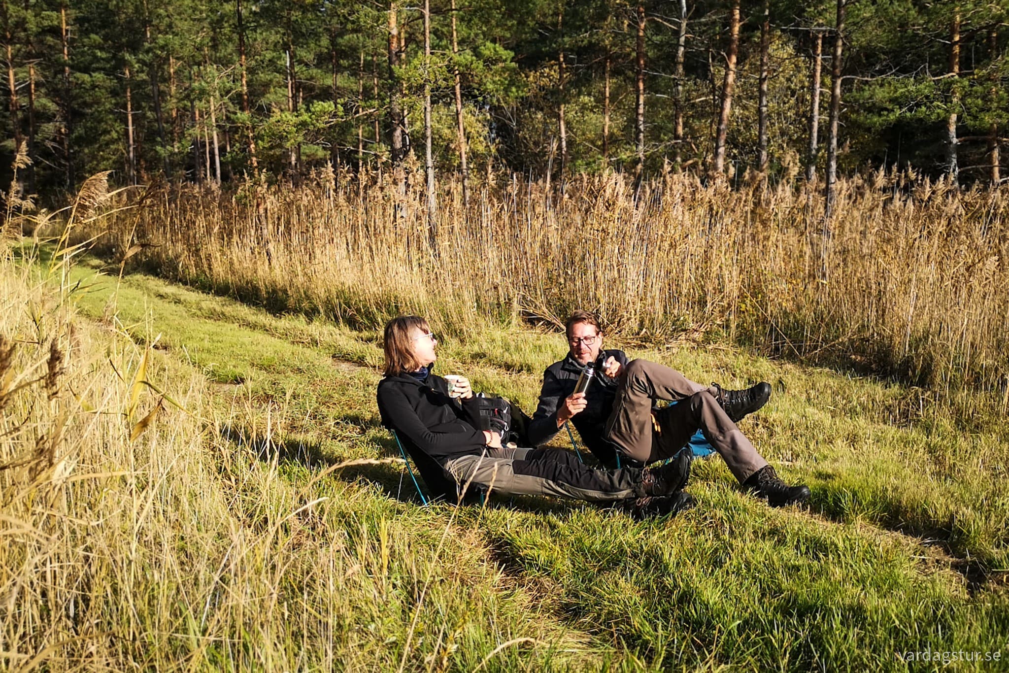 wp-16978762741296026236785351360282