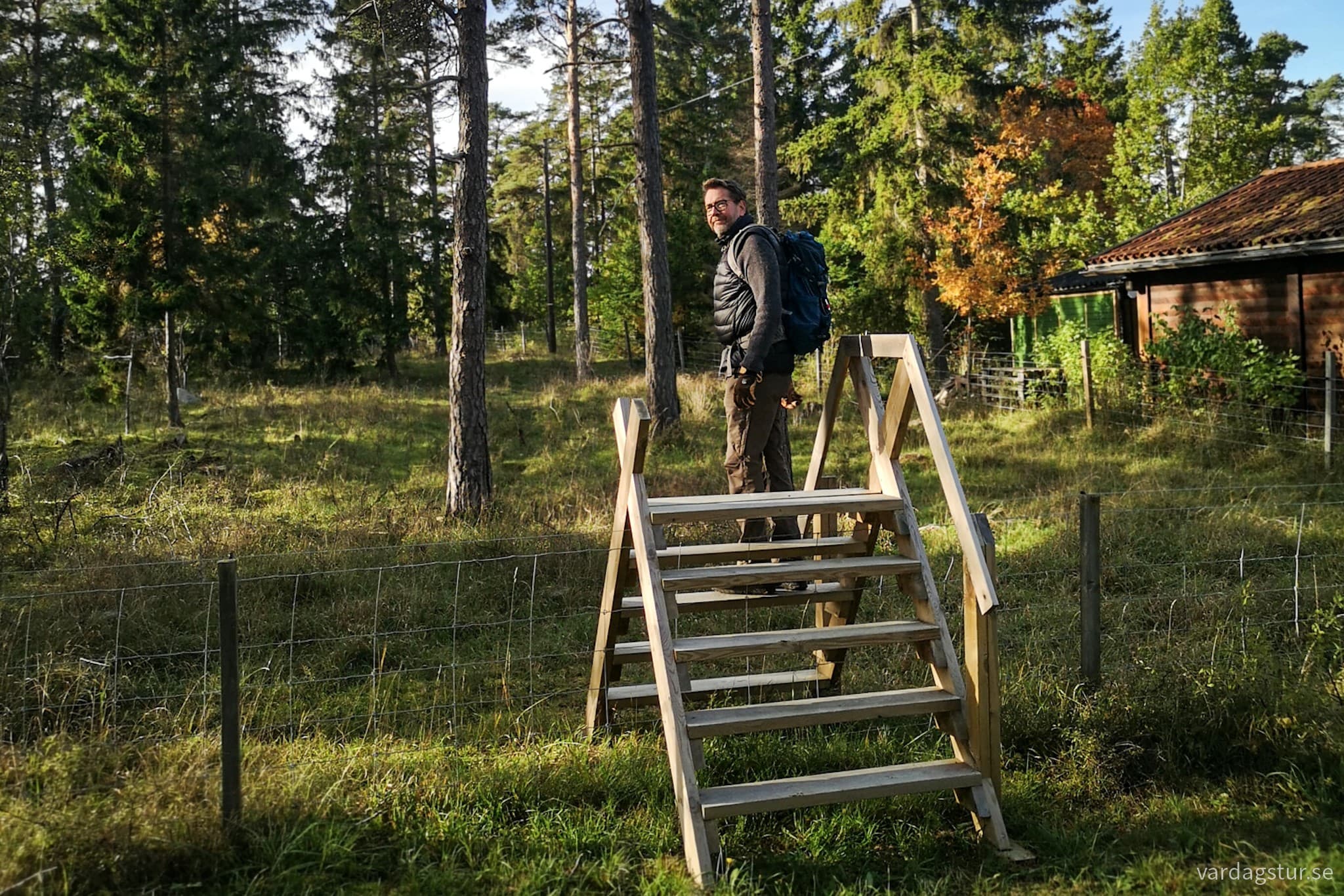 wp-16978762737667622772196921972879