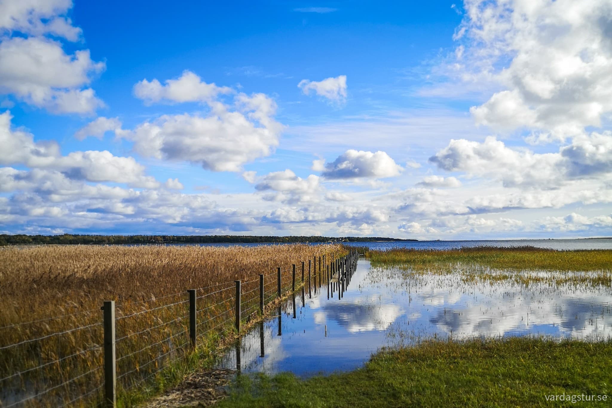 wp-16978788795365689103045624459666