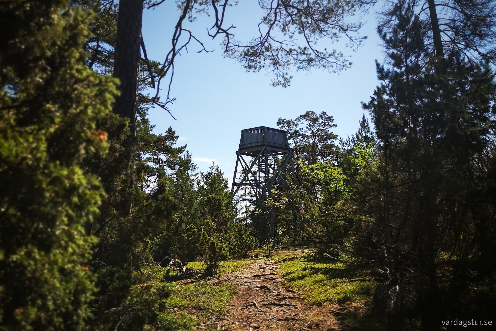 wp-16979579962858085047404723409439