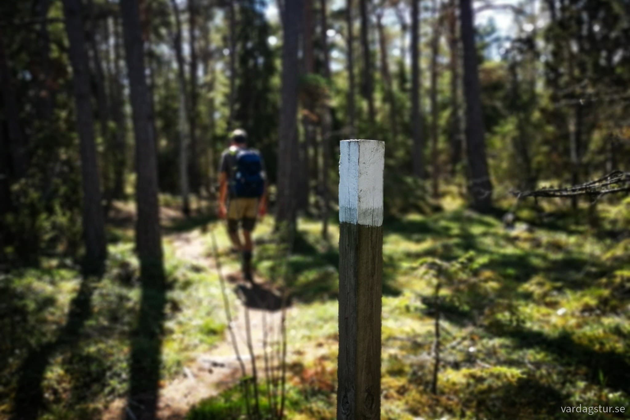 wp-16979613592342471290760680822218