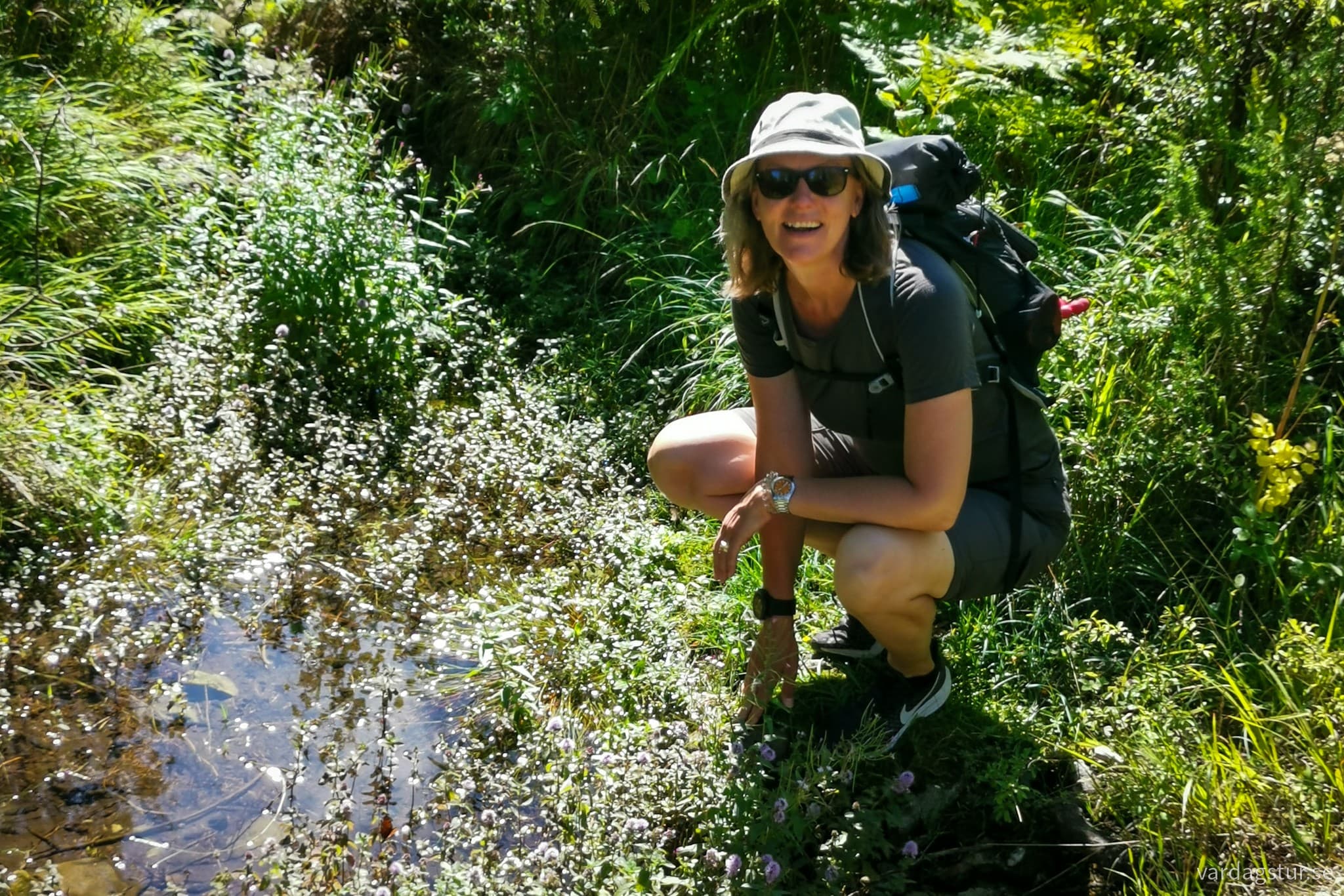 wp-16979617655034838964592411767801