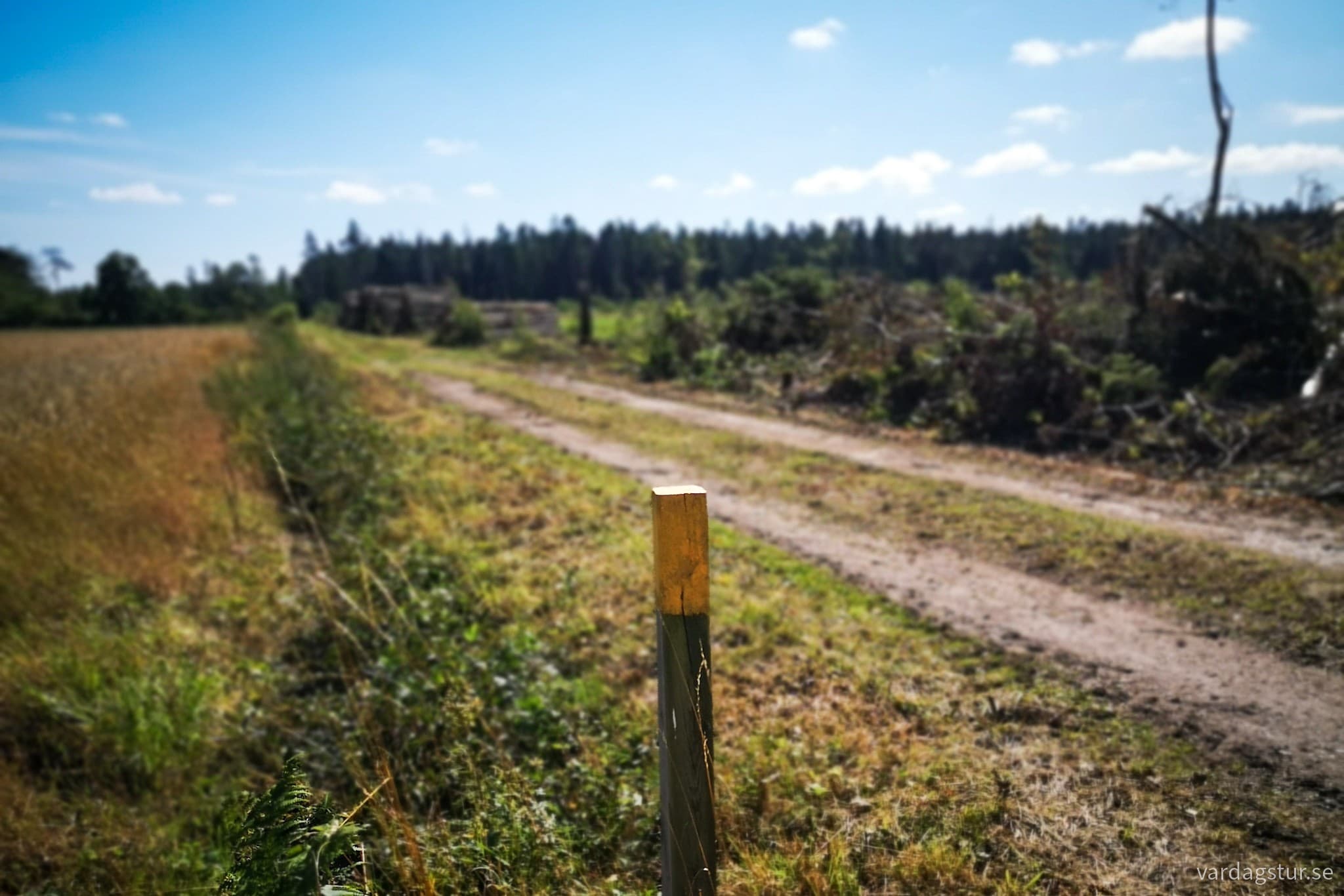 wp-16979634001292755413368267670099