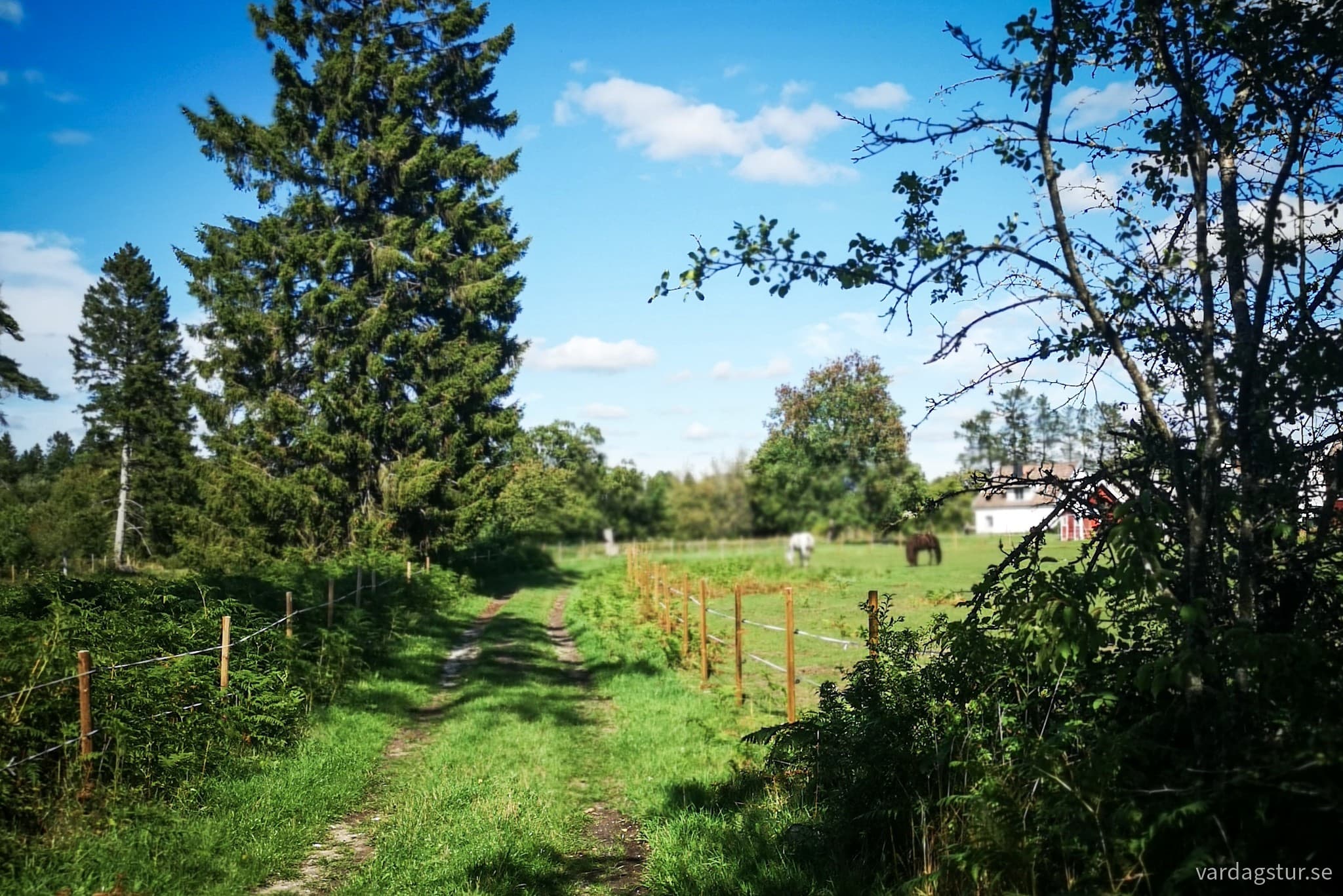 wp-16979649229791358322905391623765