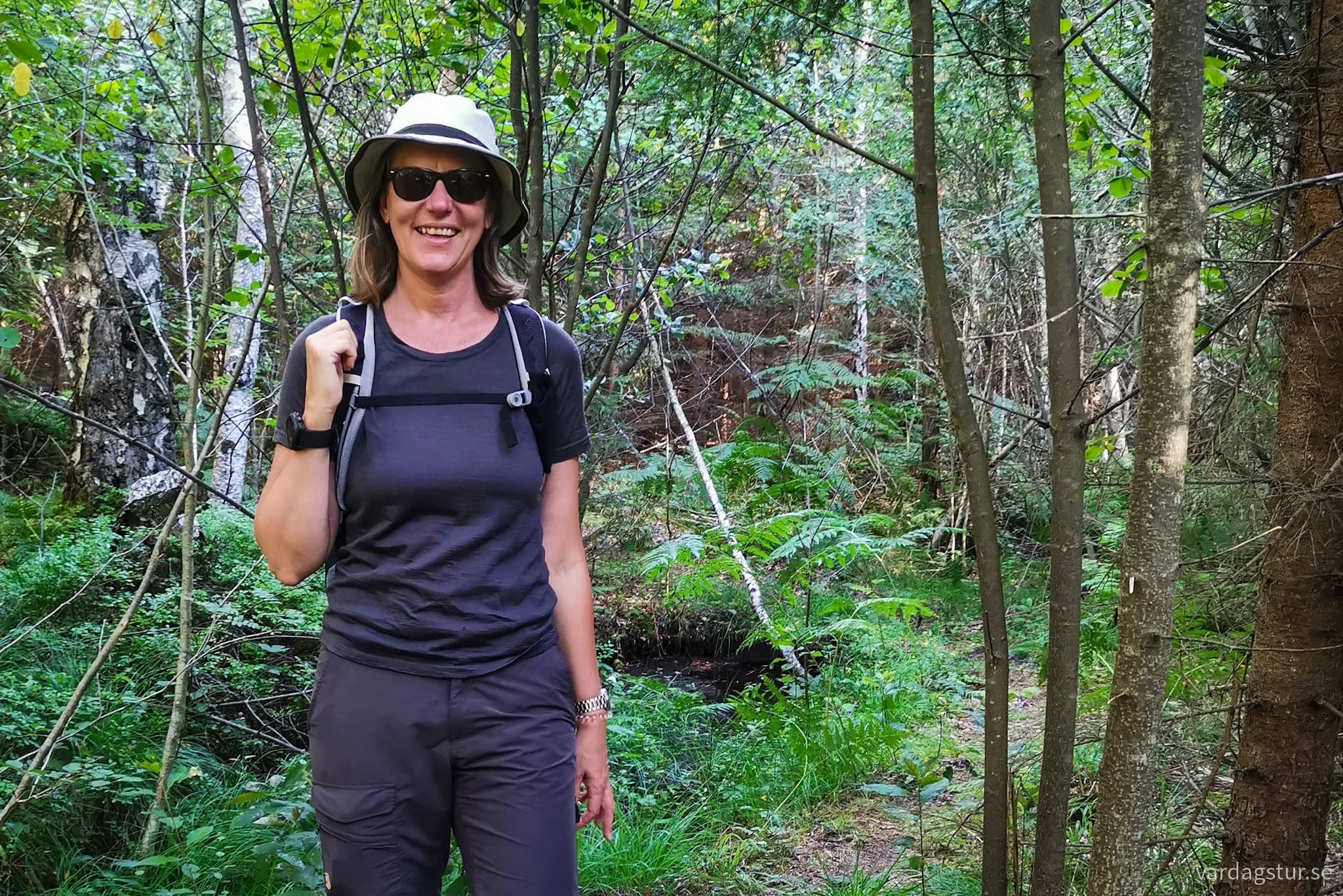 wp-16979666076008841416549066936569