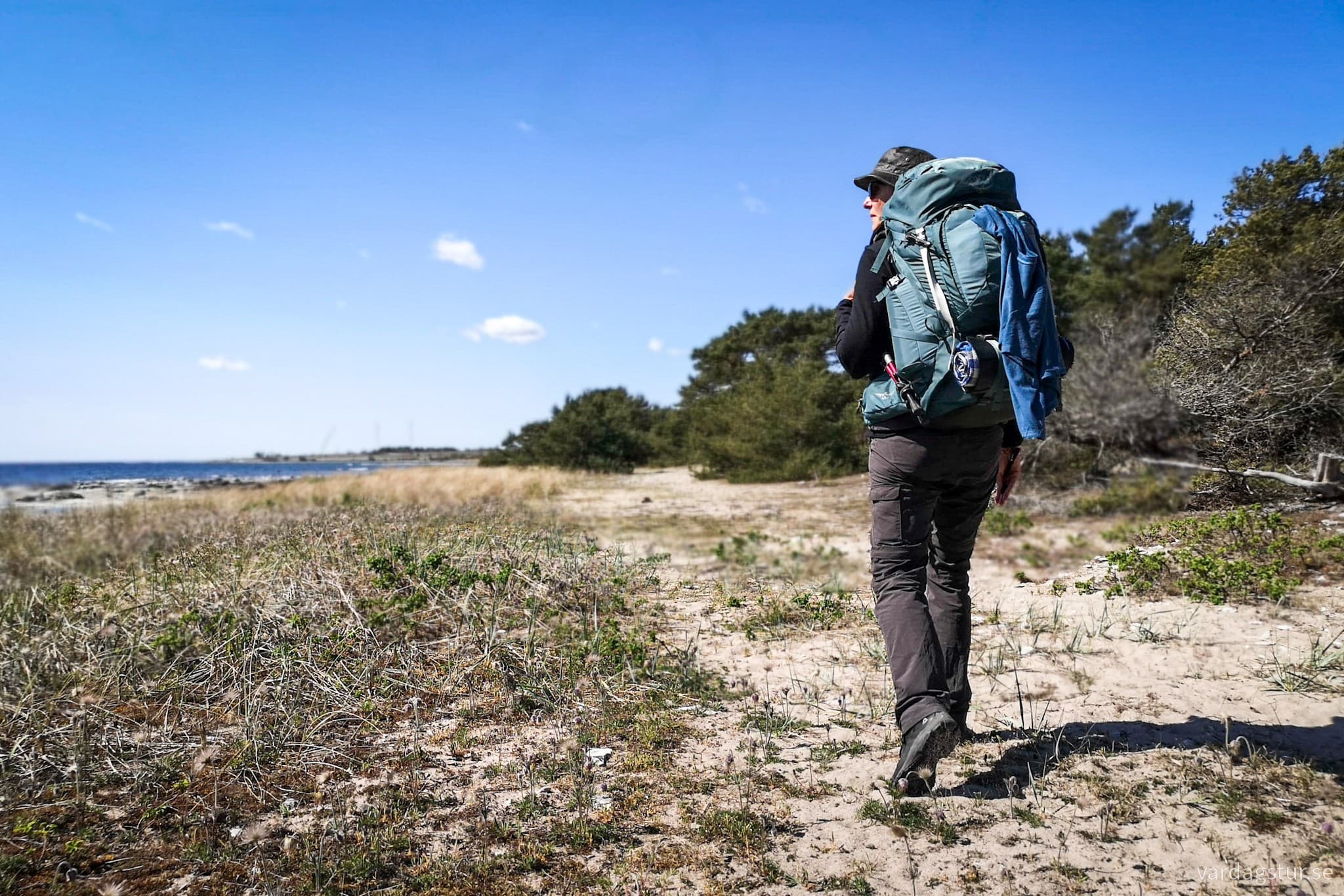 wp-16979819181774228103610135091594