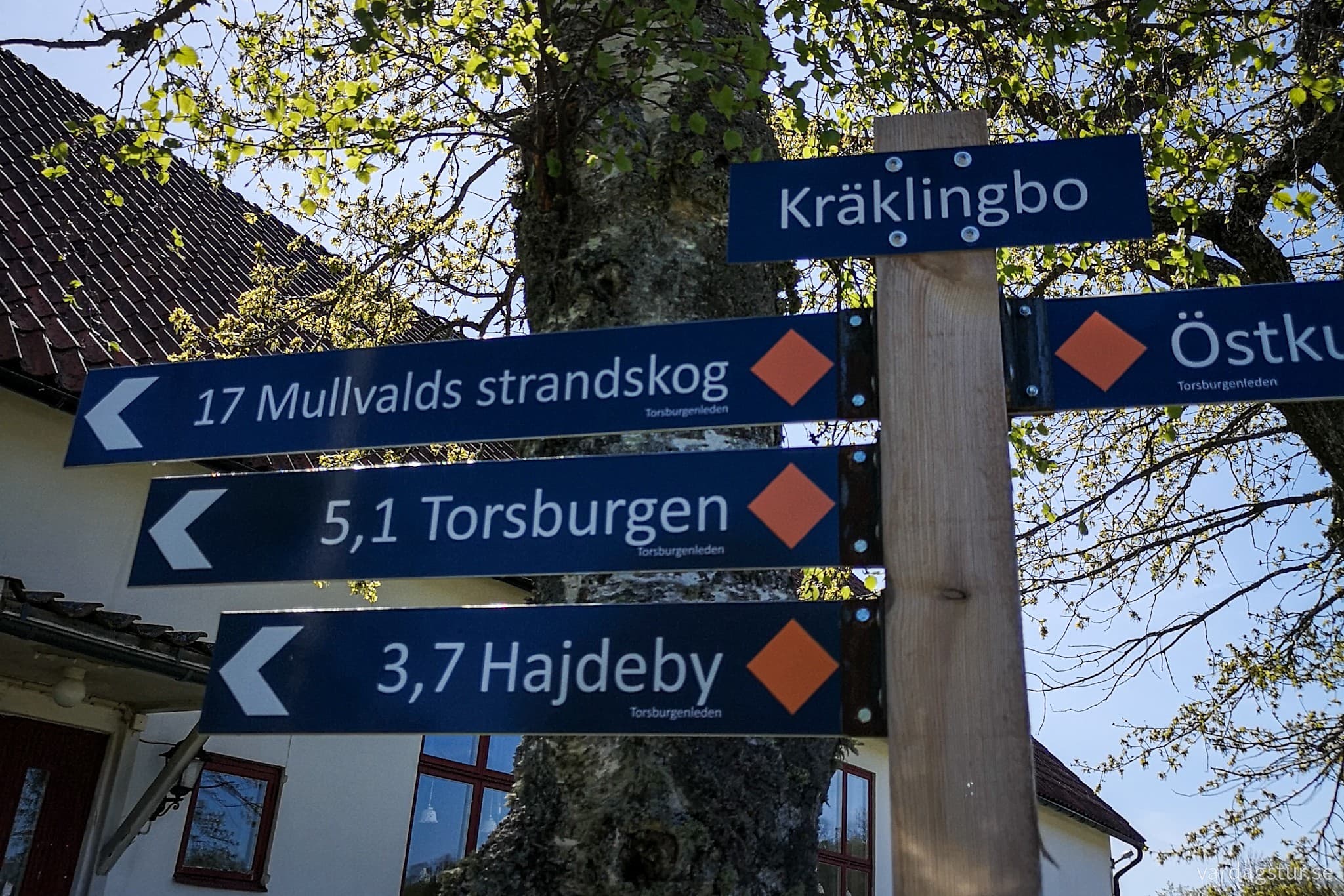 wp-16979855052533158577601308877284