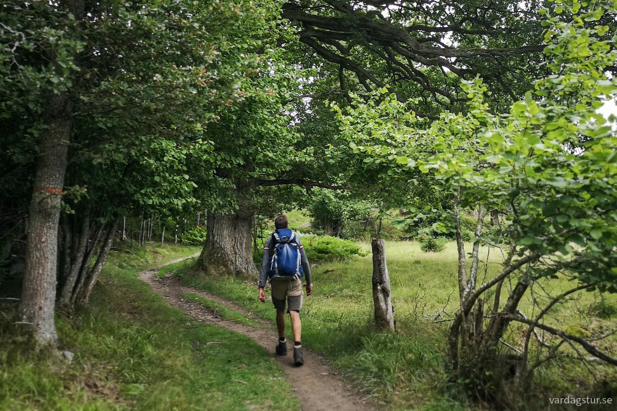 wp-16982531164032979266738941846473