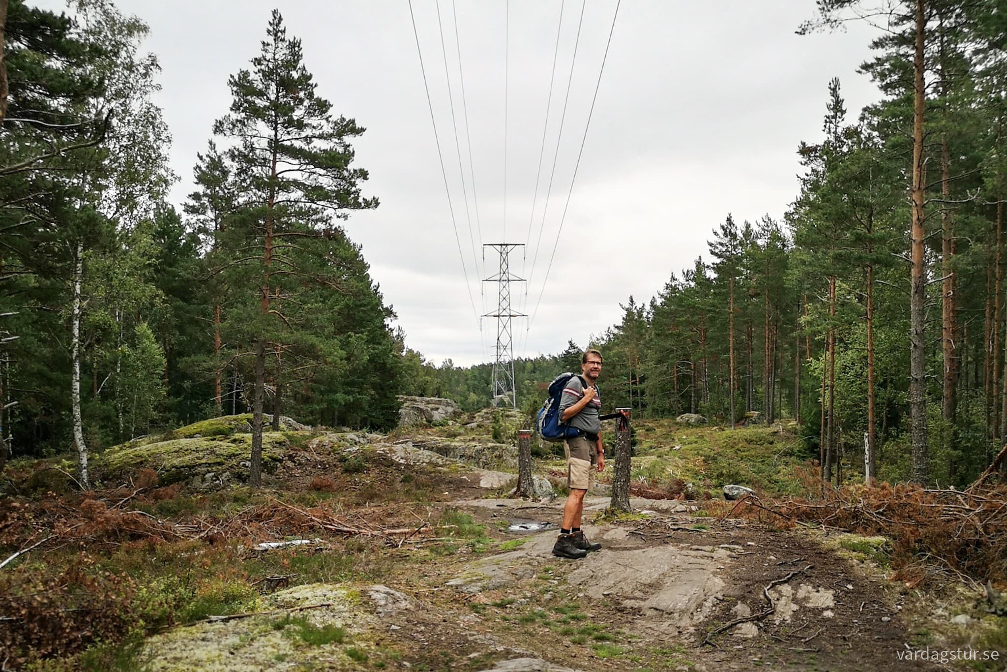 wp-16982531168238430469973474621084