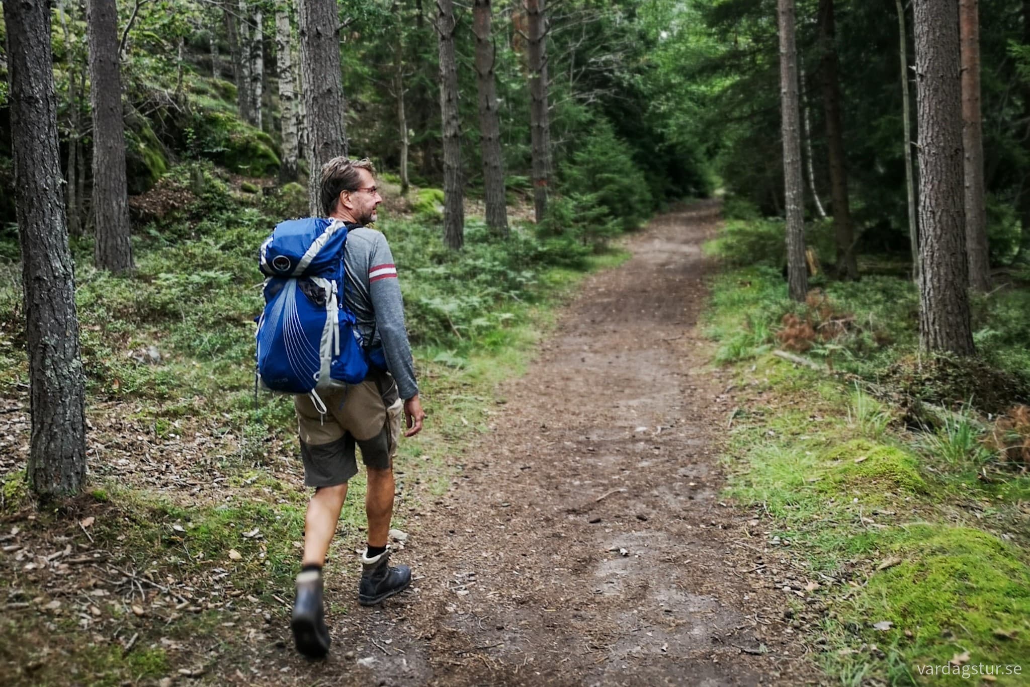 wp-16982546169378345725979144513840