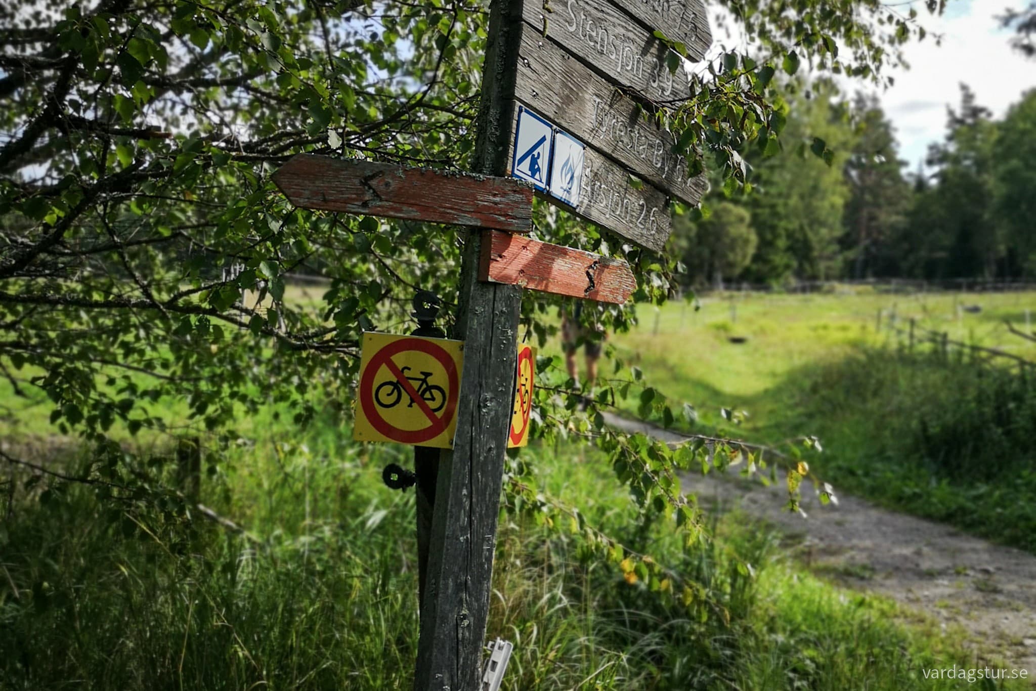 wp-16984830094981797080269303137644