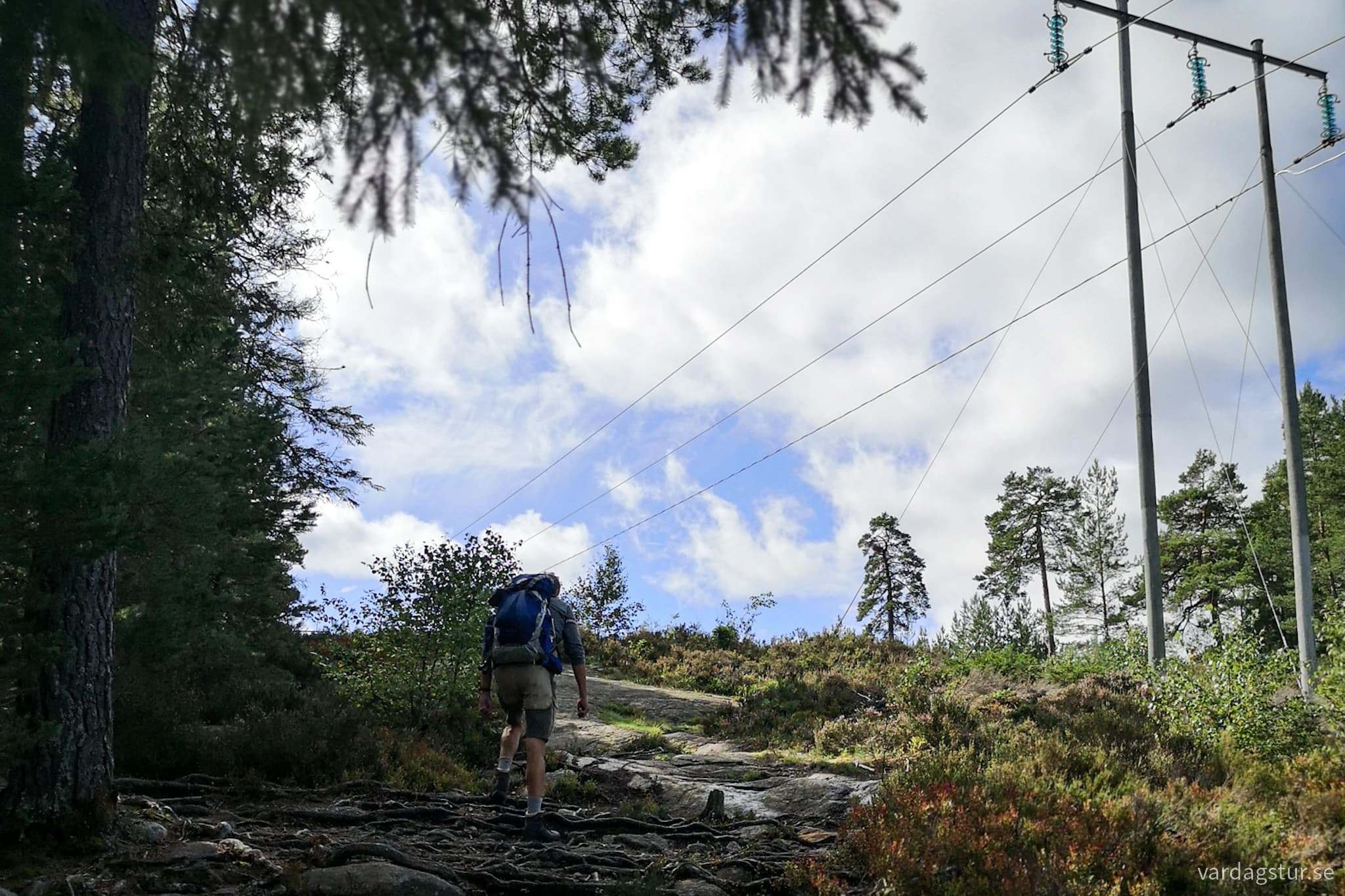 wp-16984830099471513886161694759594