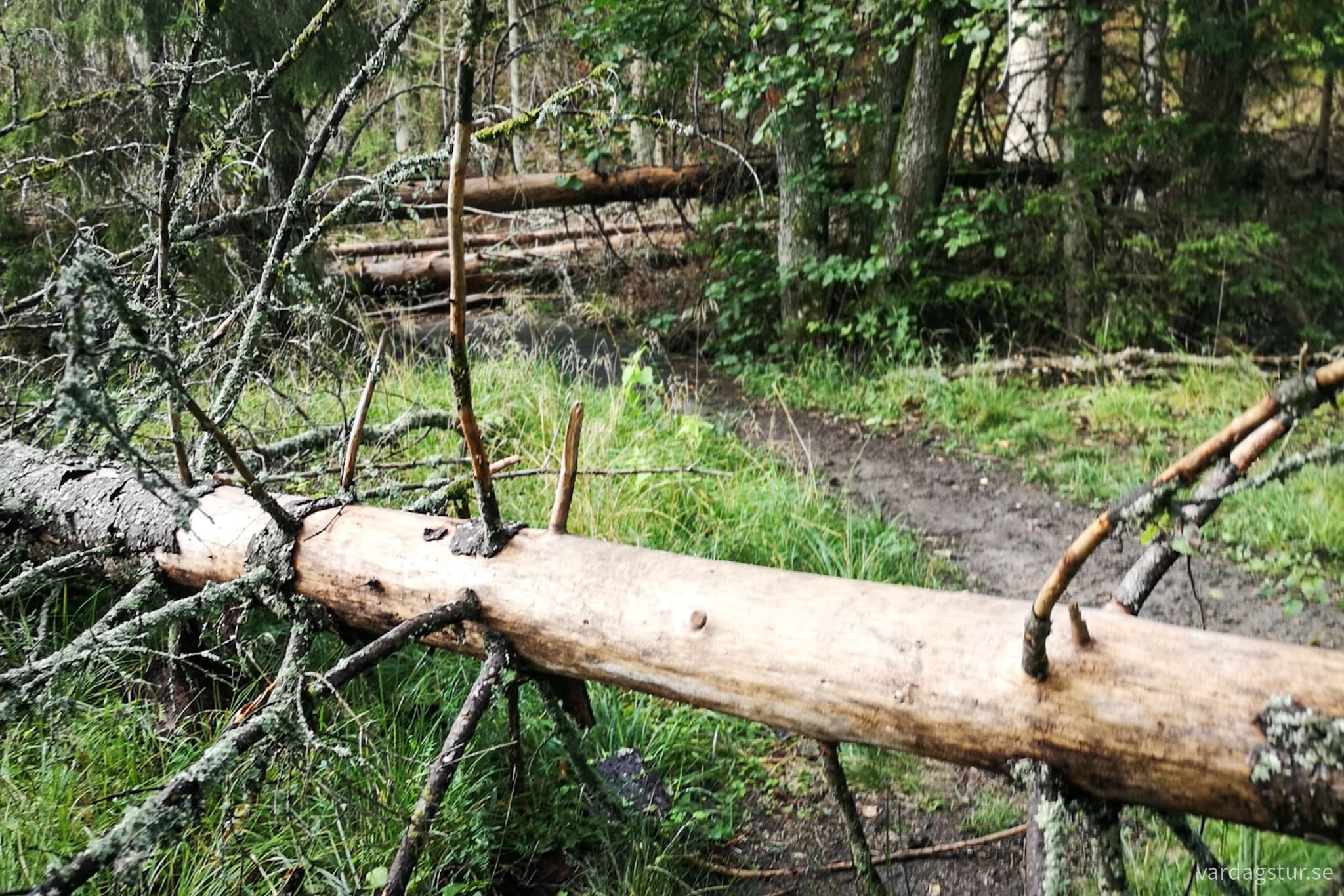 wp-16984830092232729295810804615897