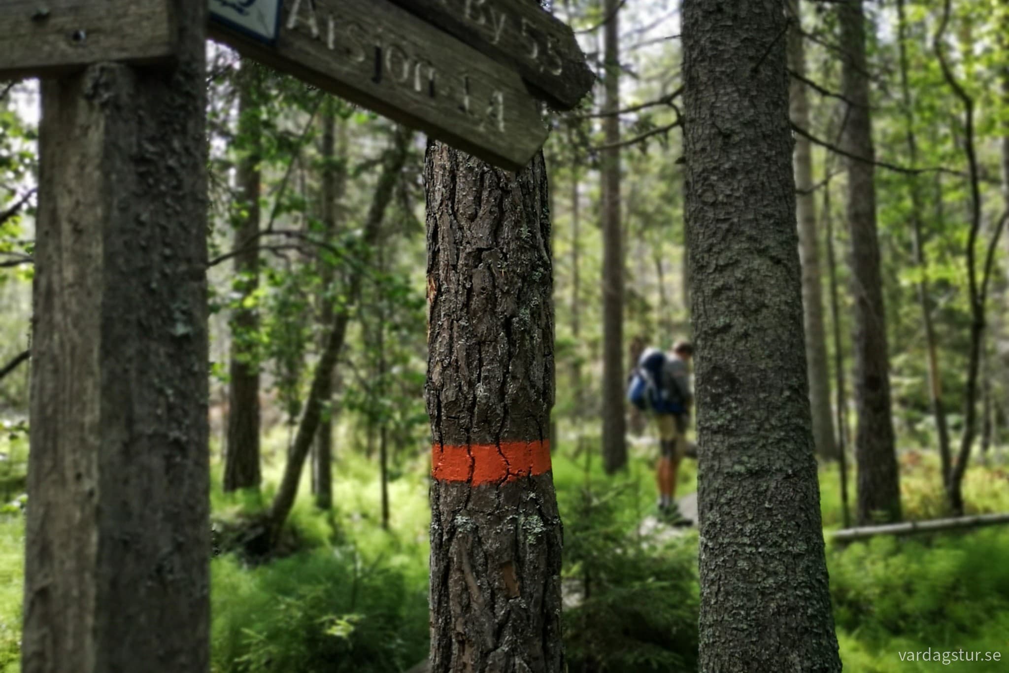 wp-1698483010510791574097883867552