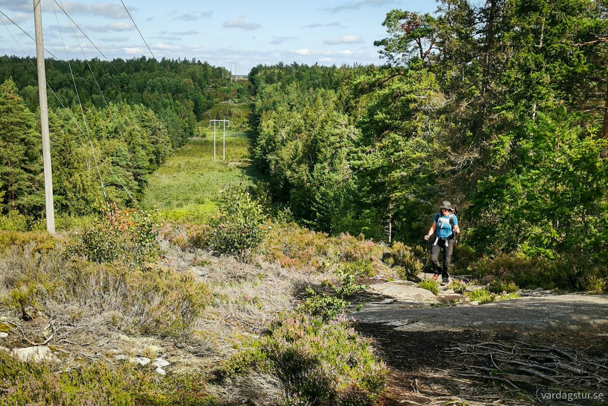 wp-16984830101937191143758166543669