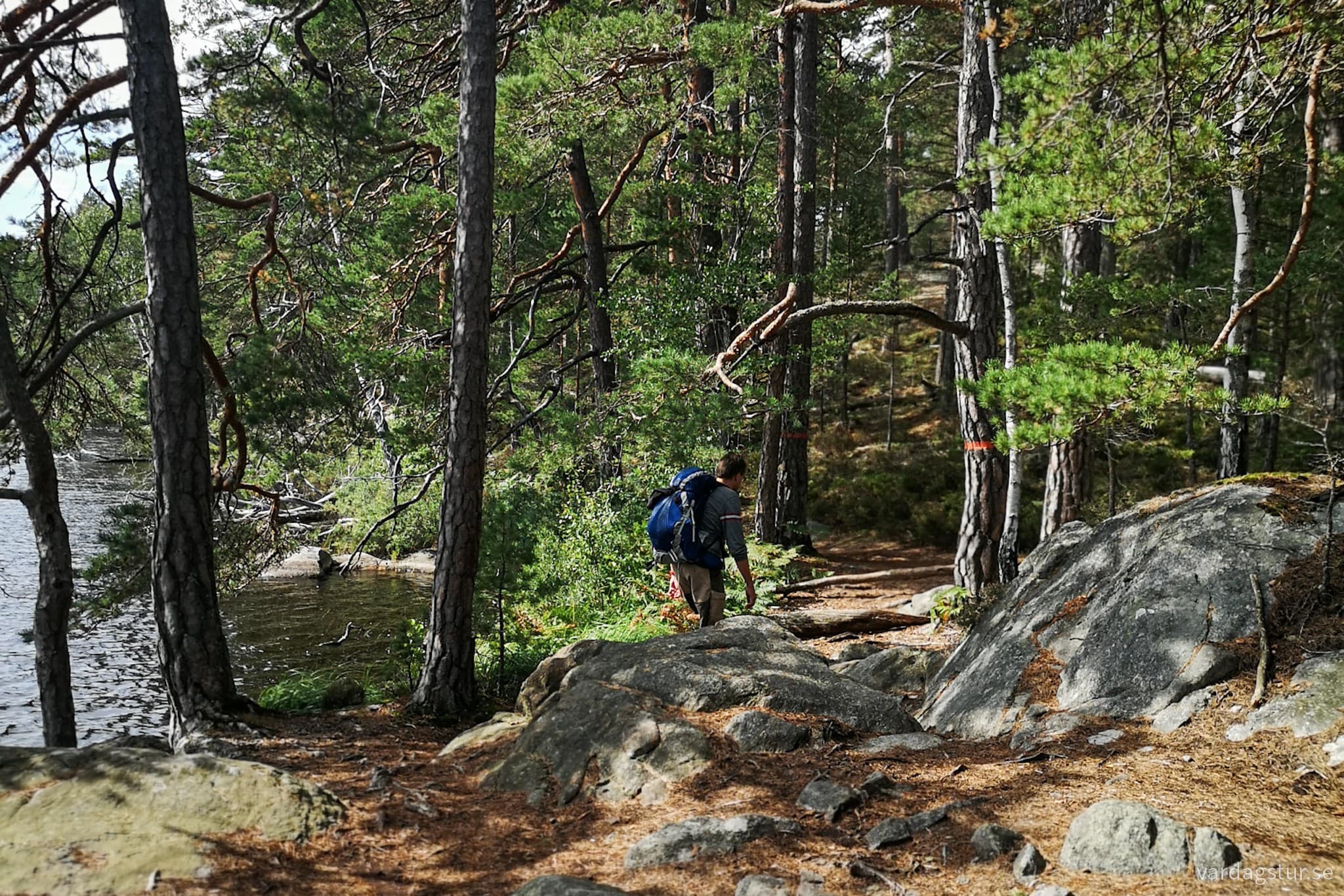 wp-16984830107324319728652297906810