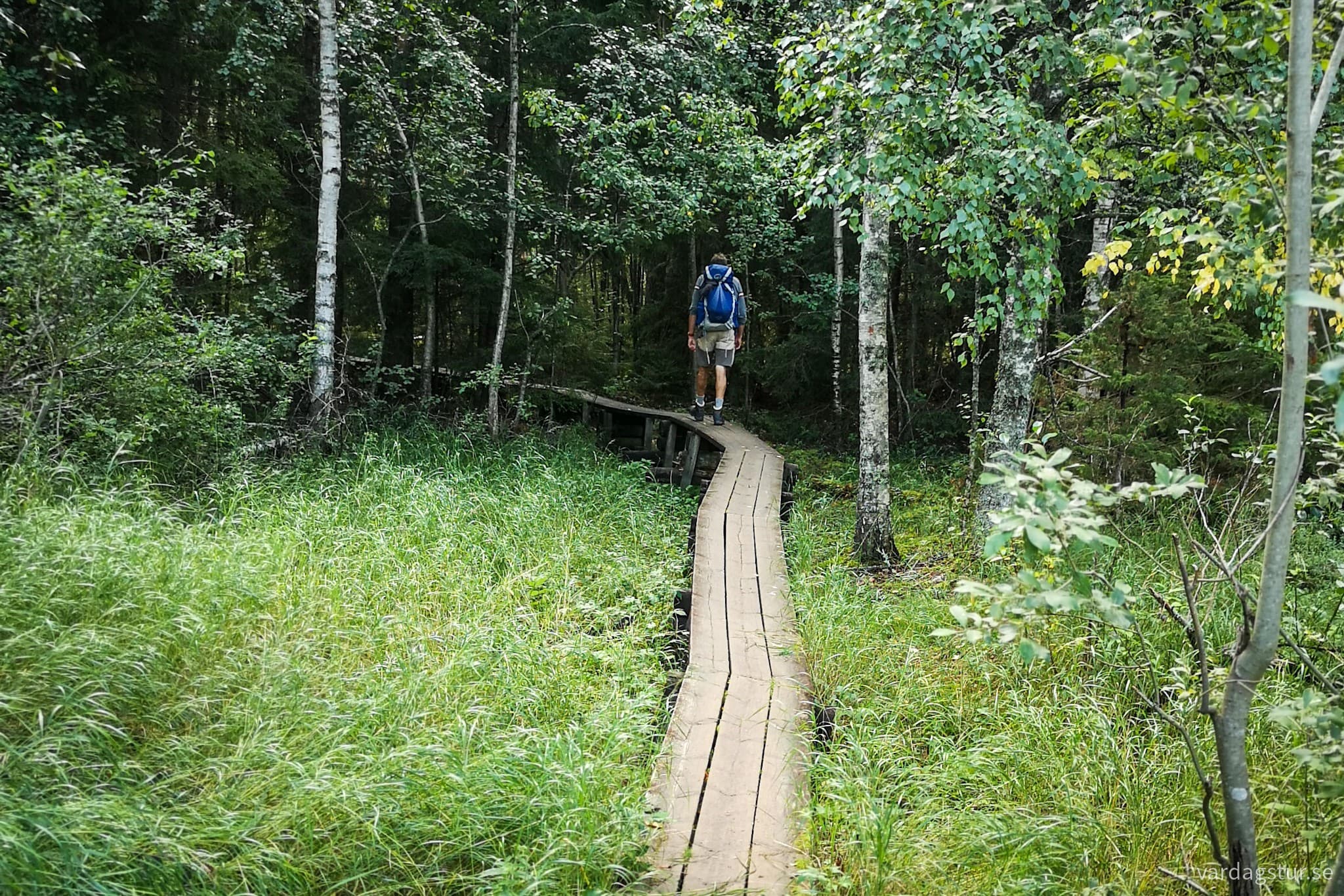 wp-16990843430467337748375235953473