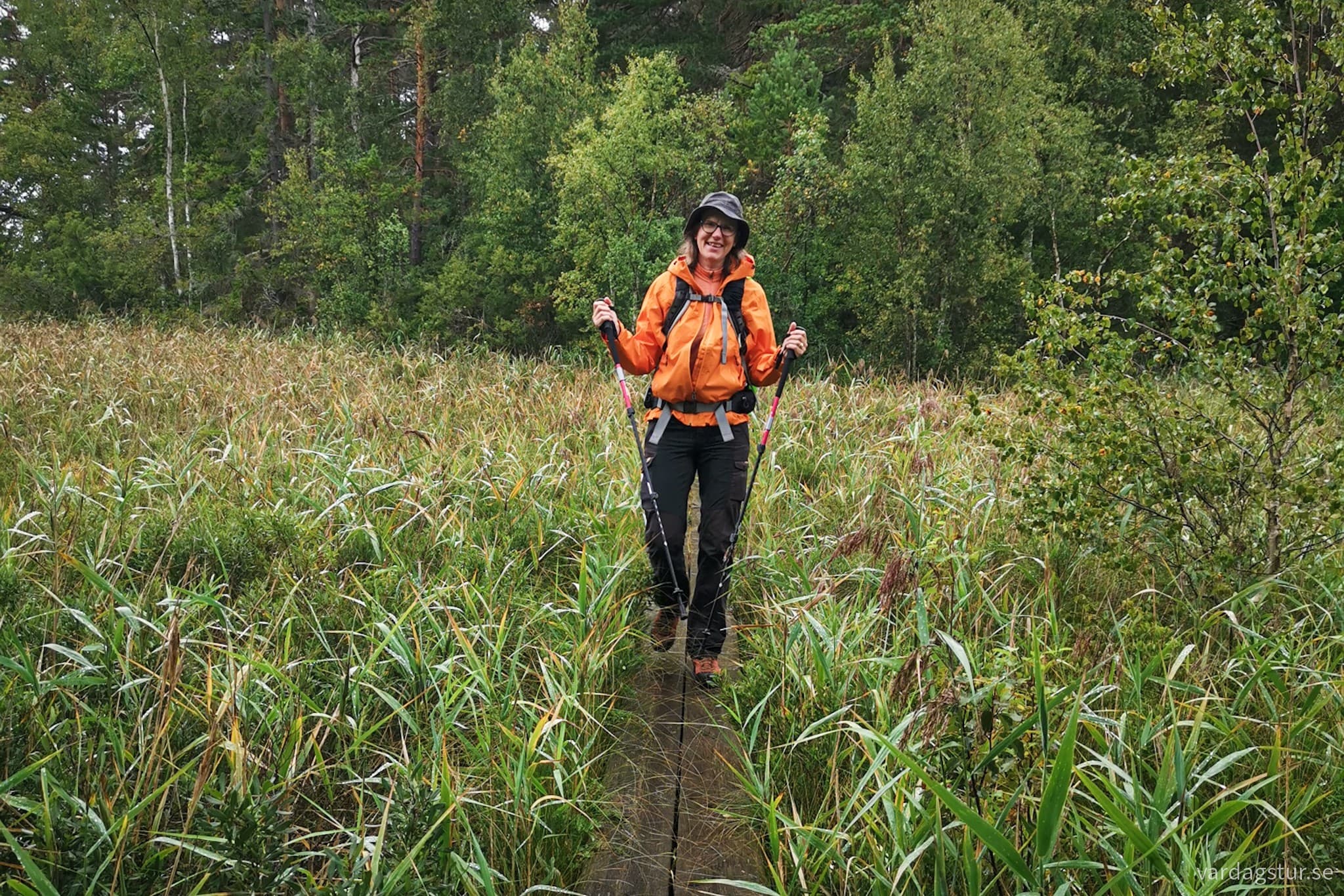 wp-16991720945151998806529252599067