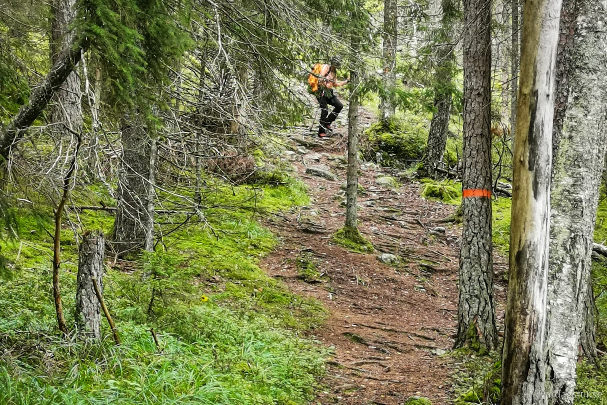 wp-16991720948302785184530797260864