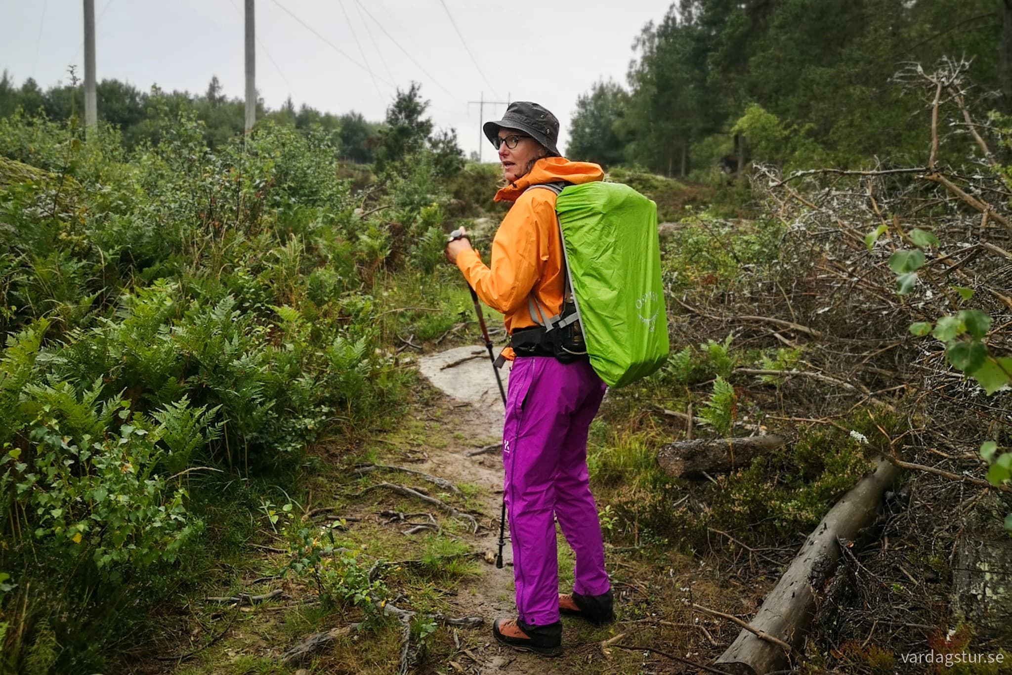 wp-16991720951023593934567709033696