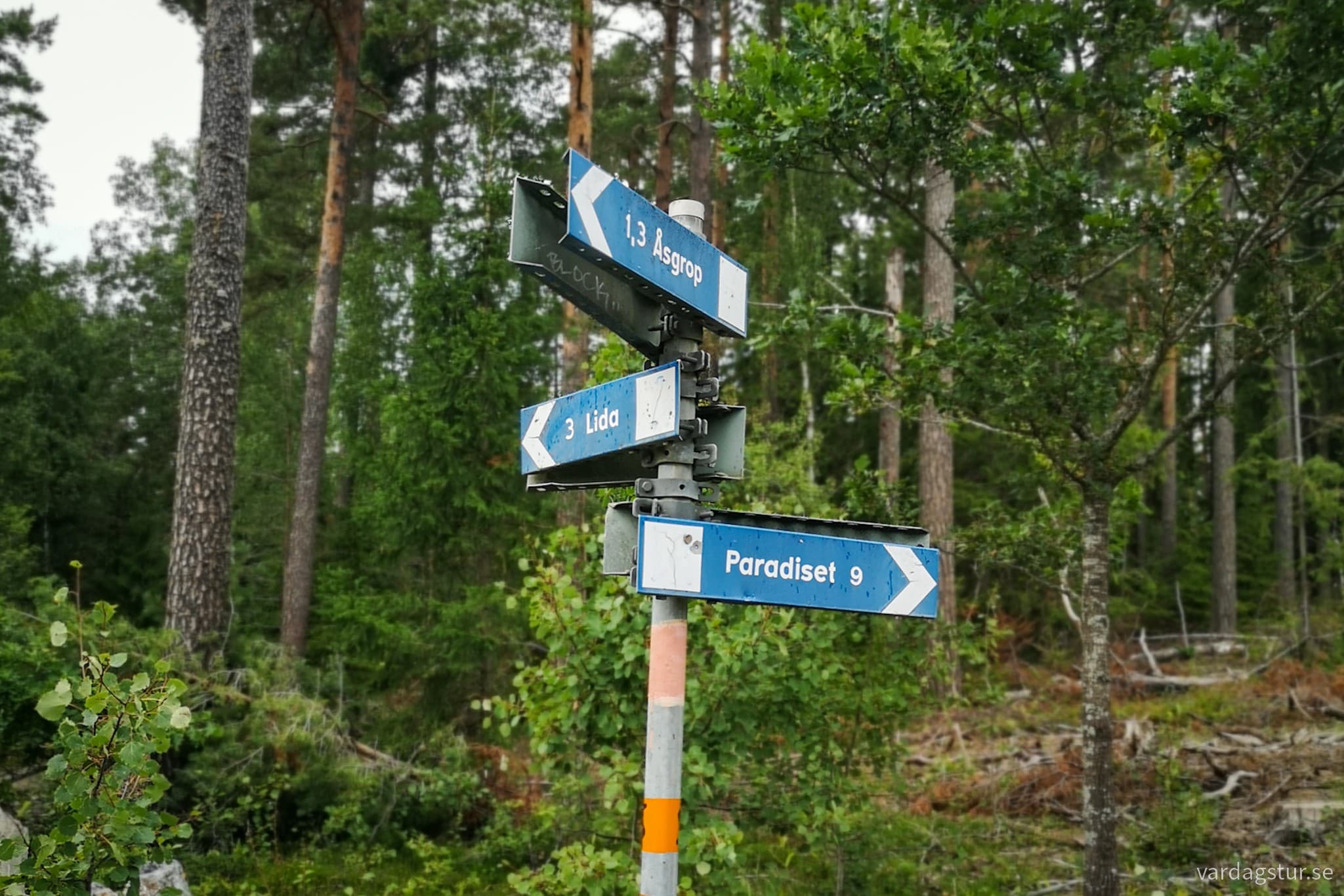 wp-16991720956357327825430946648626