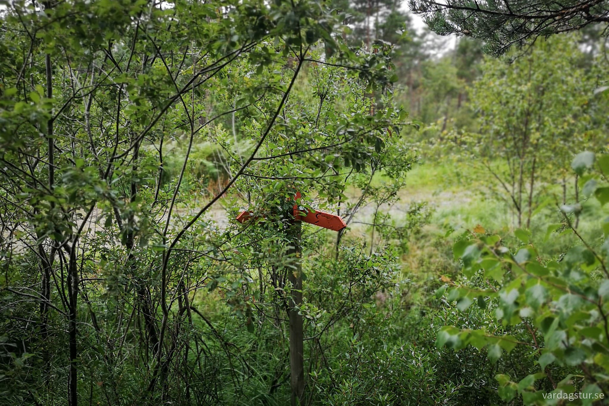 wp-16991720958571028118017910226002