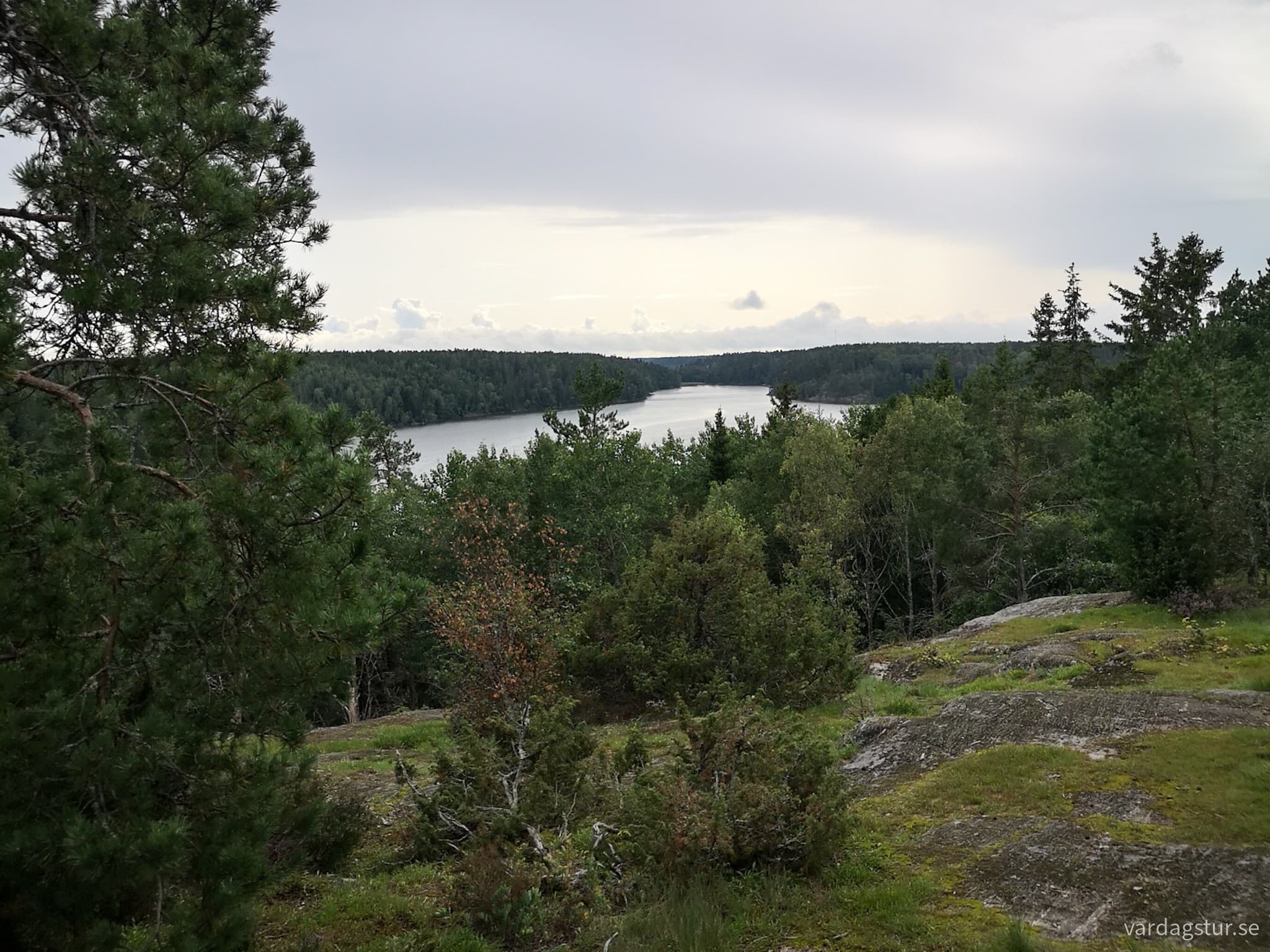 wp-16991720953616753317959404433436