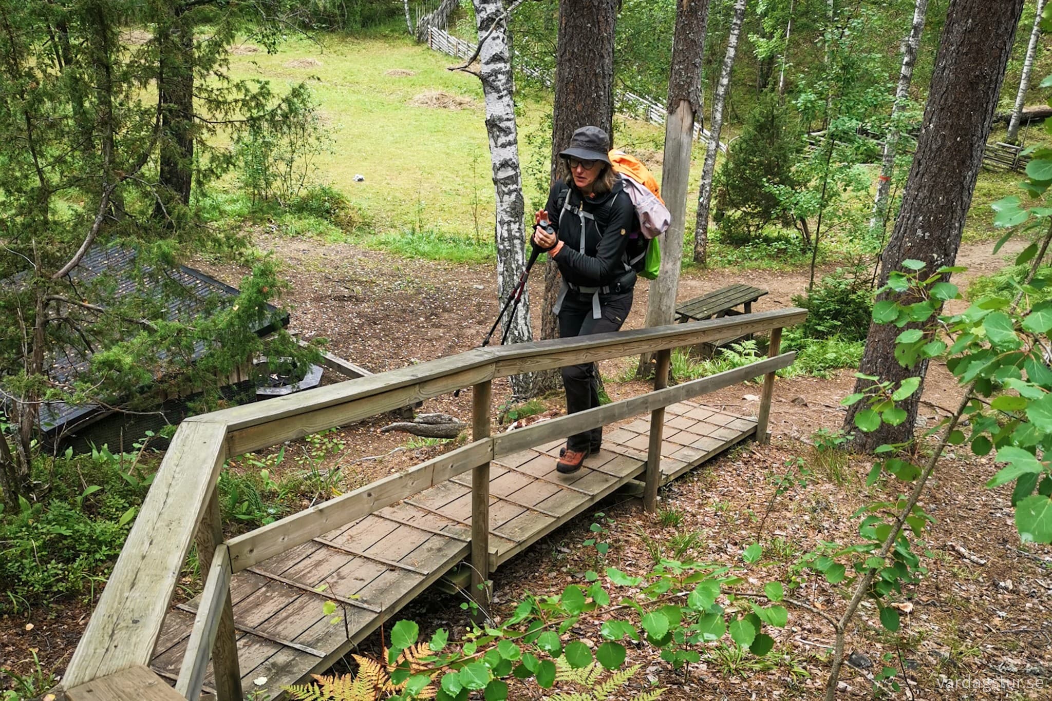 wp-16991720961215400738046874504394