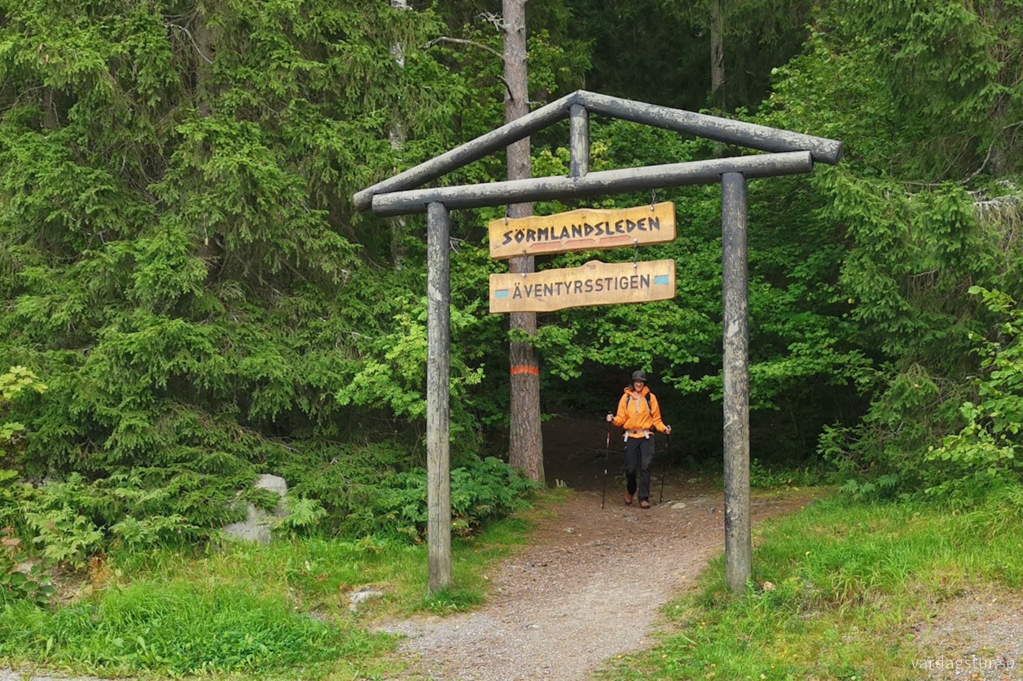 wp-16991720967075593281931569403236