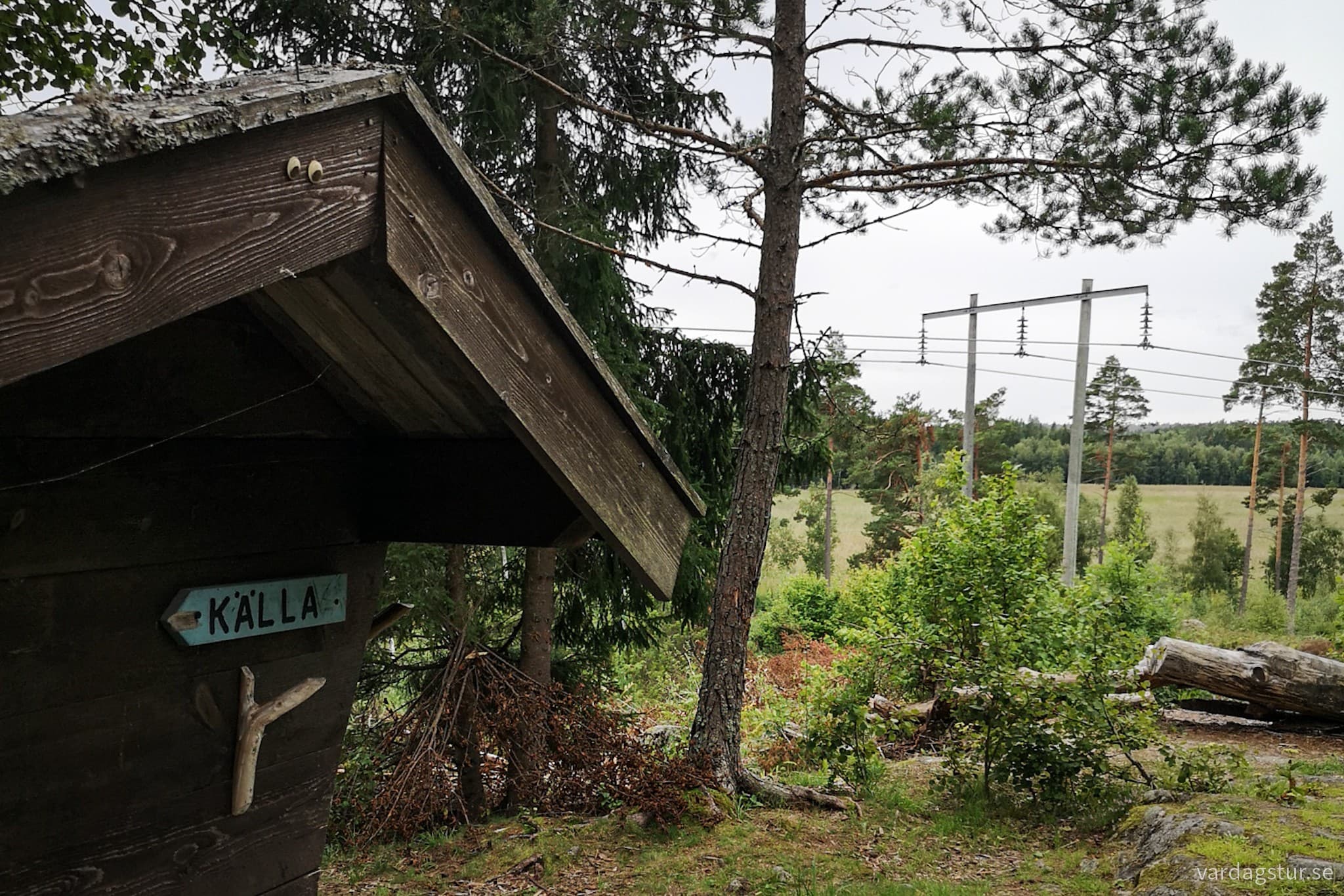 wp-16991720972248785993503214425528