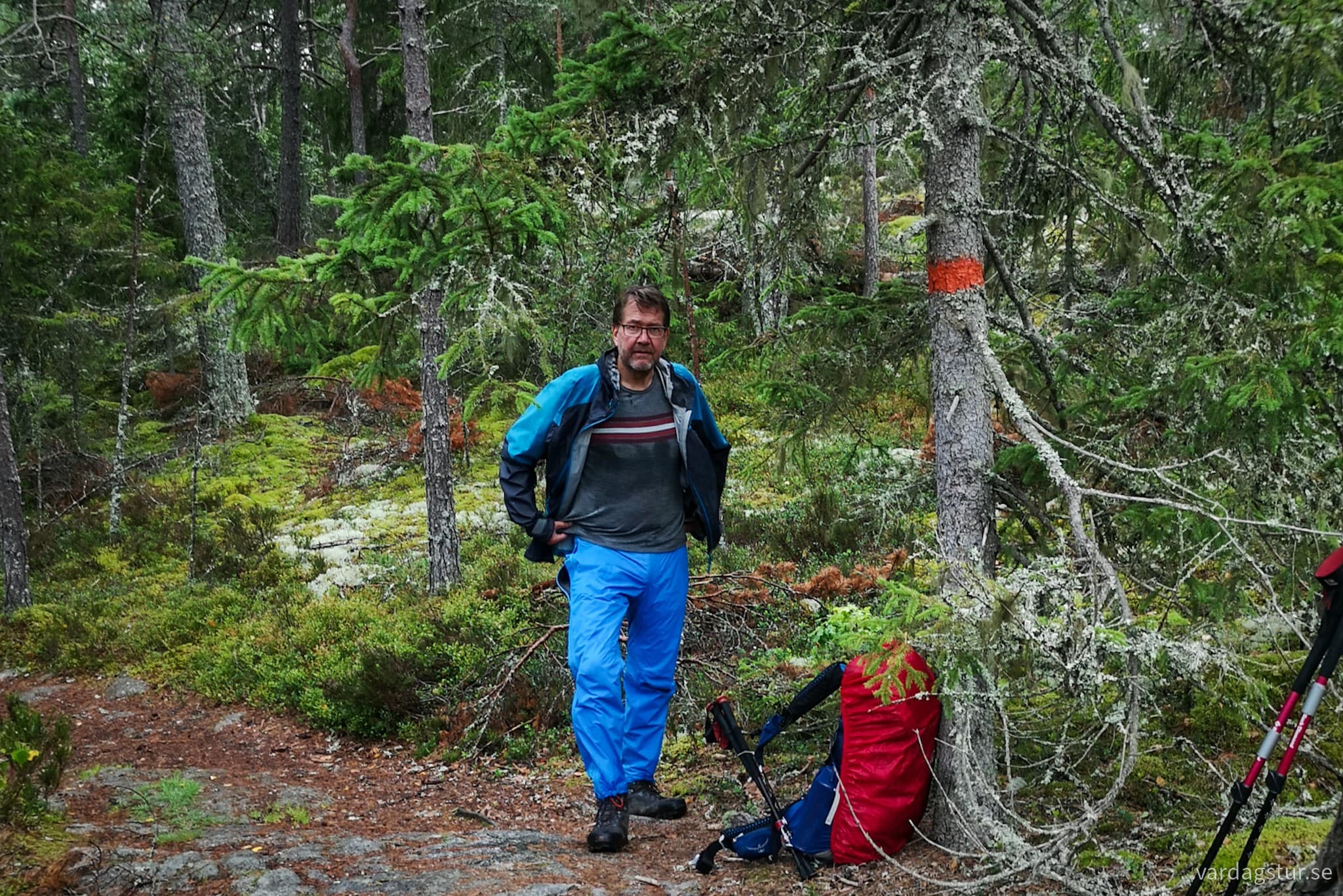 wp-16991720975021016736763541085284