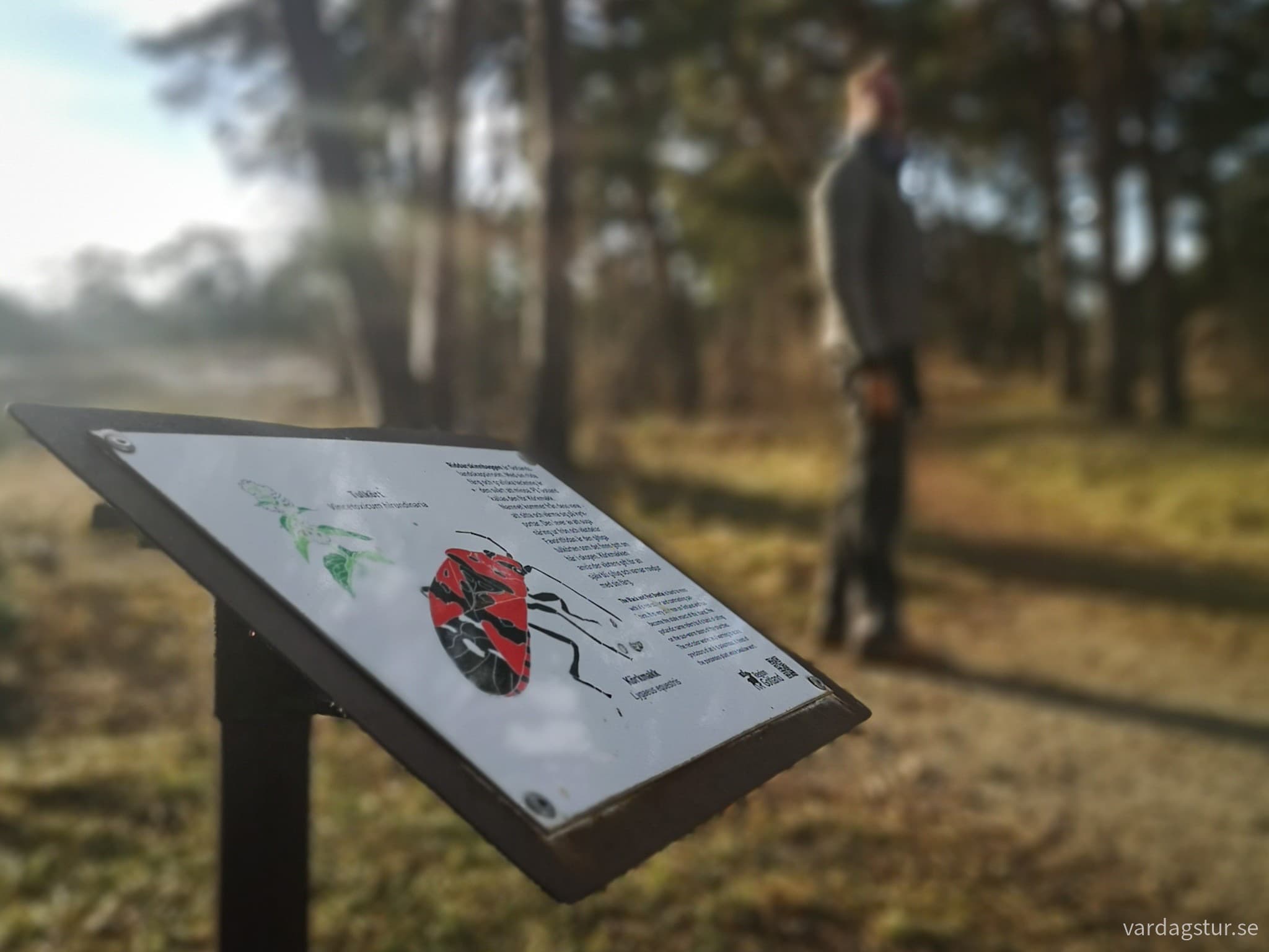 wp-17069452952377572417417454441102