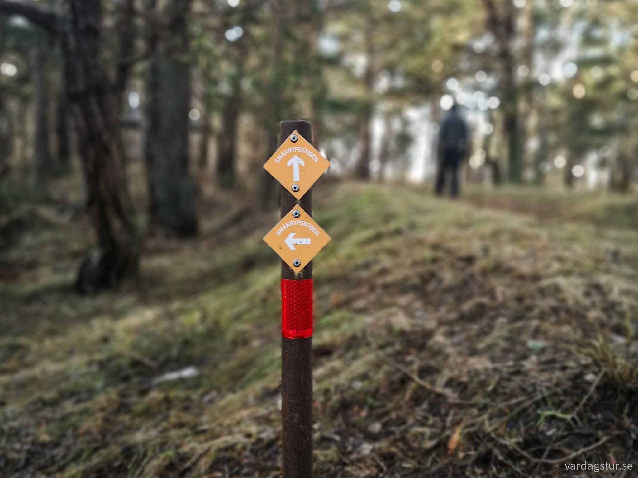 wp-17069452958634712274584215288520