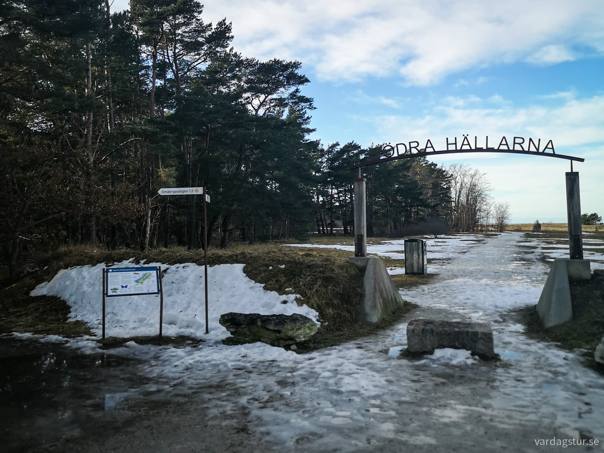 wp-17069452956377616752254223703101