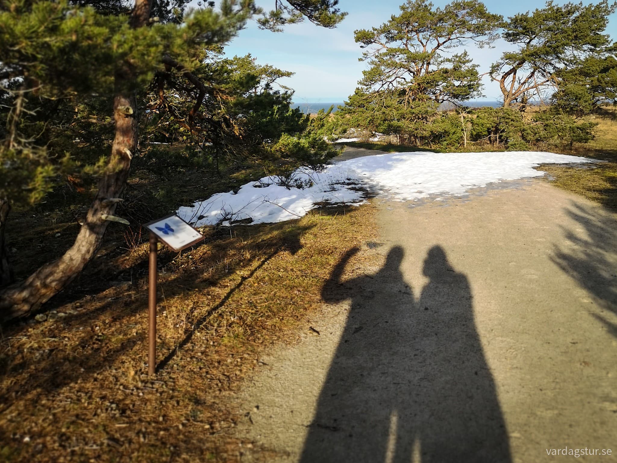 wp-1706945295400874078825508399022