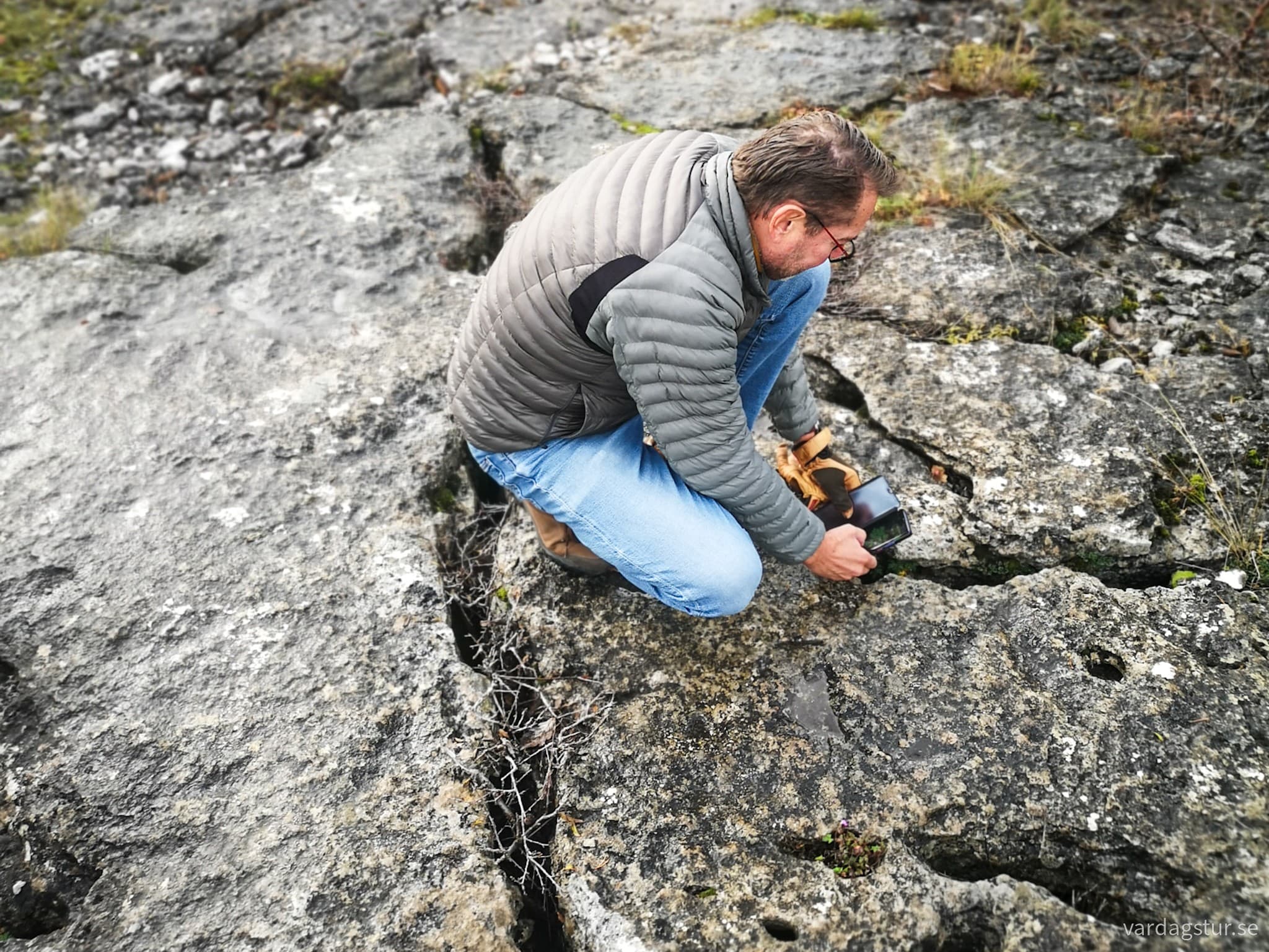 wp-17069578570632118368408966868118