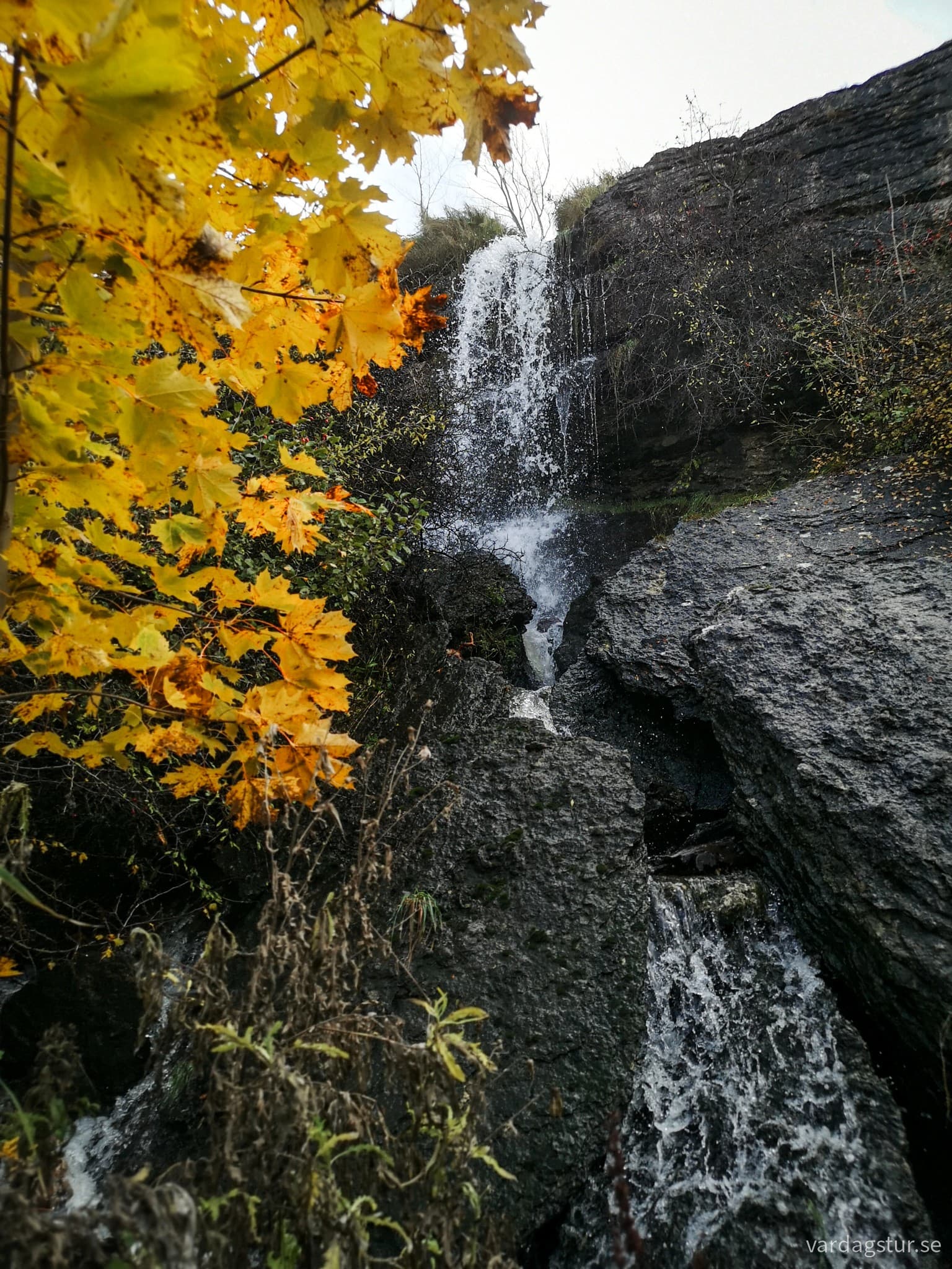 wp-17069578574775883427057586604864