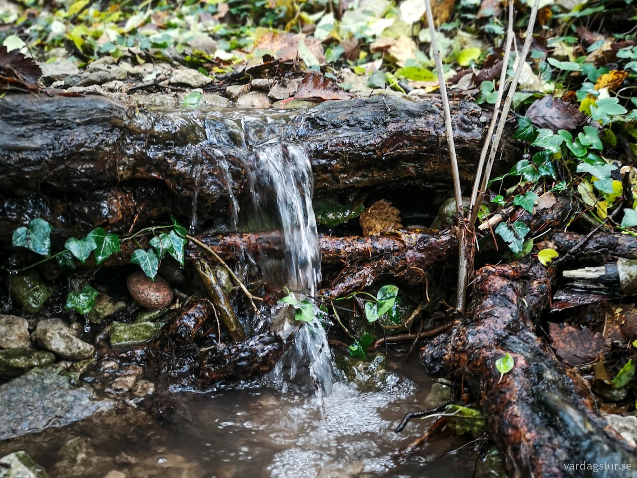 wp-17069578579235722412487122516773