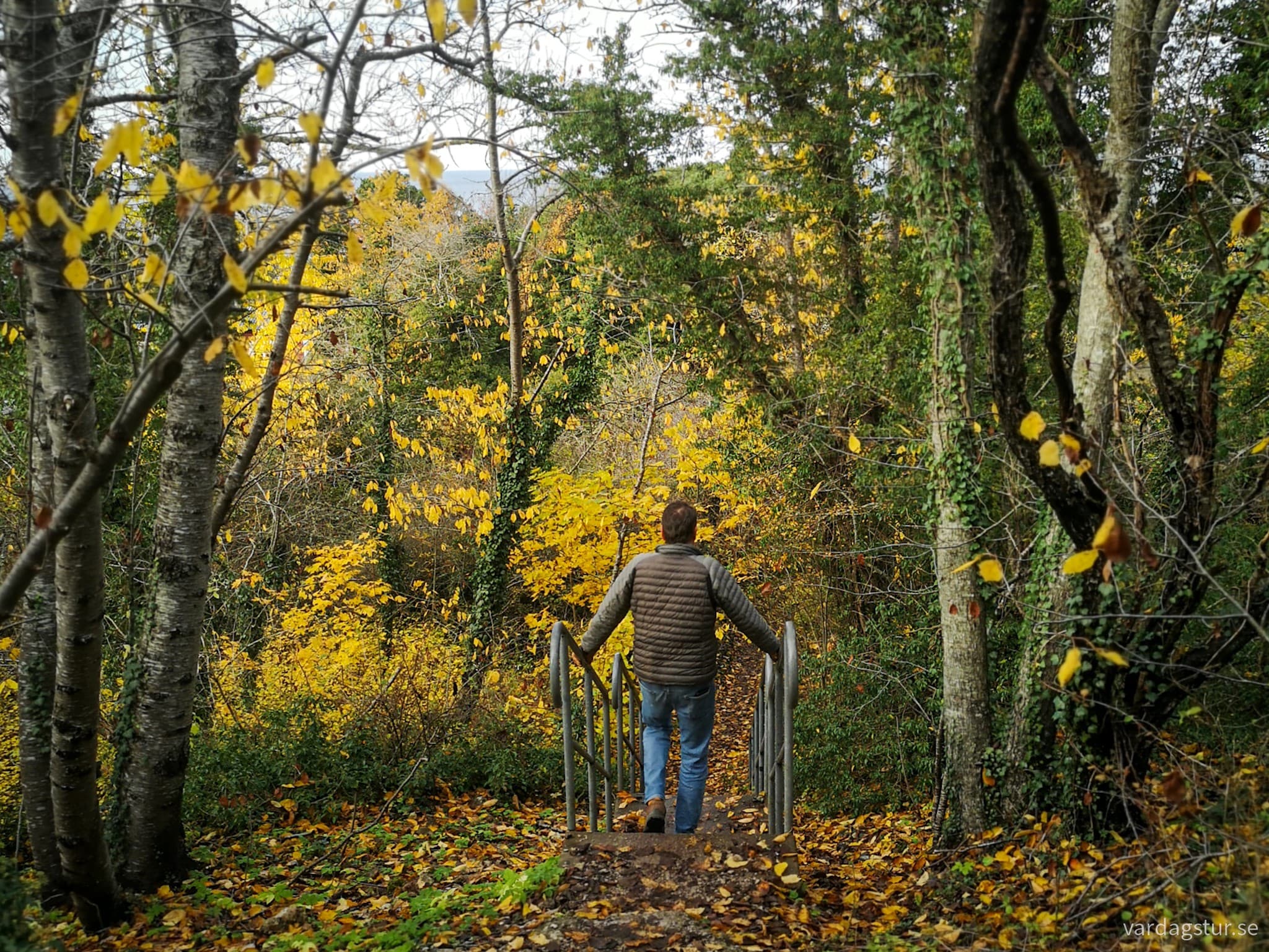 wp-1706957858379331163530433077221