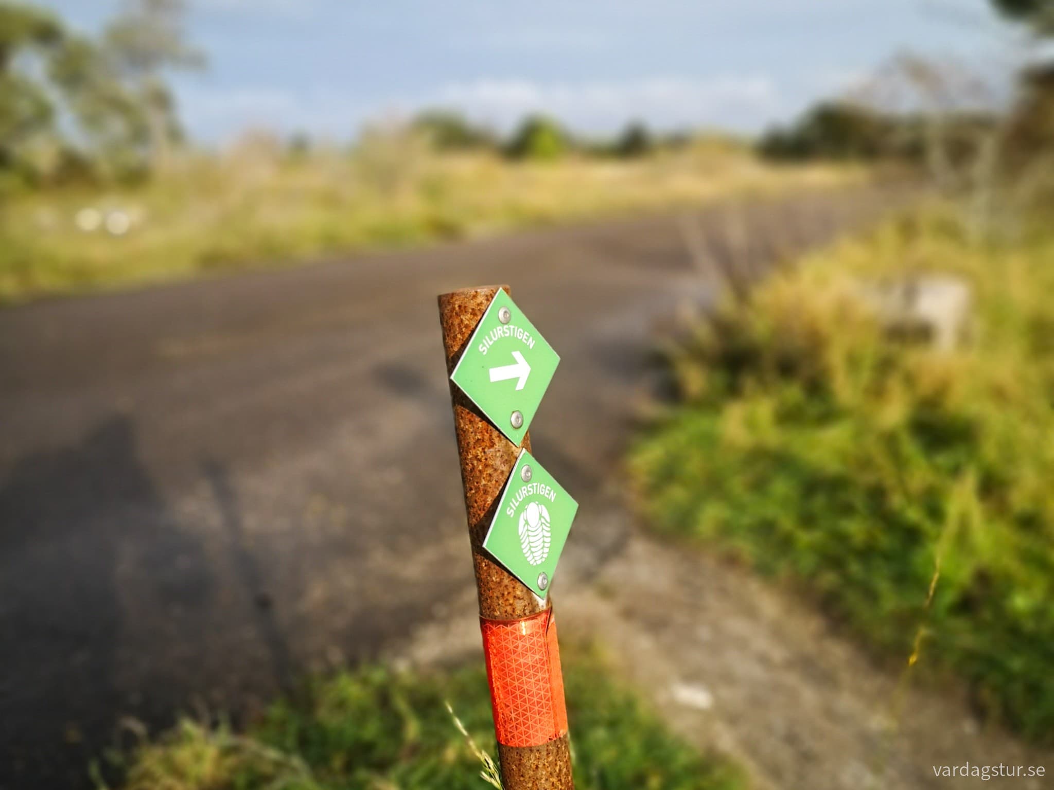 wp-17070313330992740895134933342382