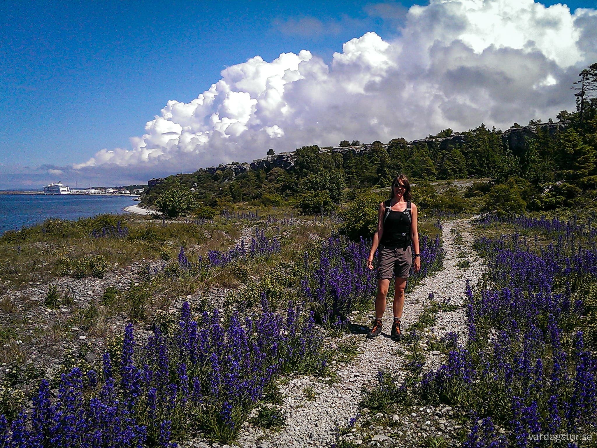 wp-17070313338802460375534218329314