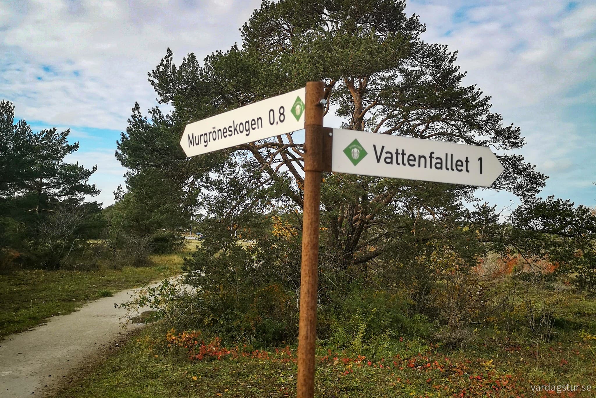 wp-1707032750044367816576068894284