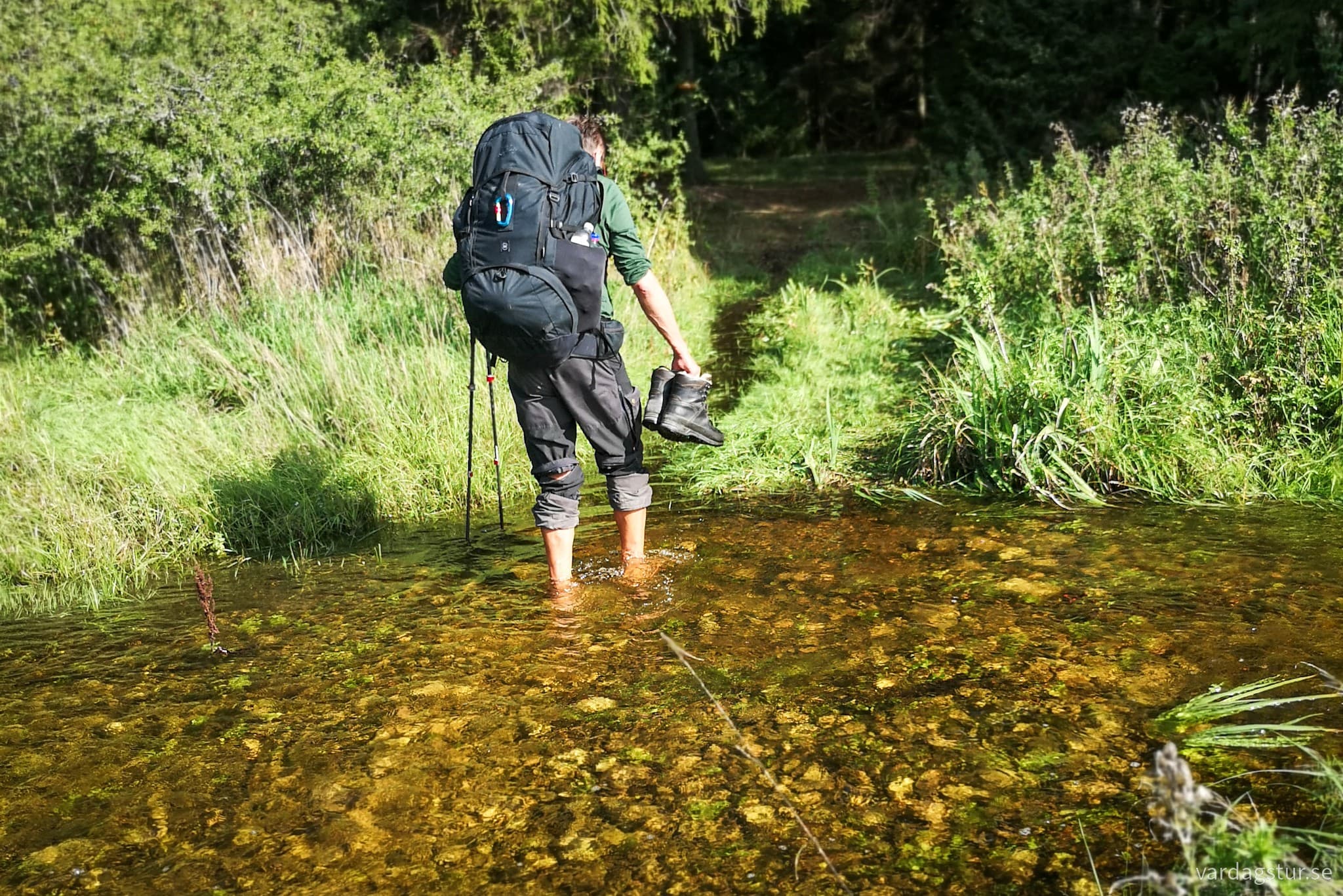 wp-17084637451155722890062656973449