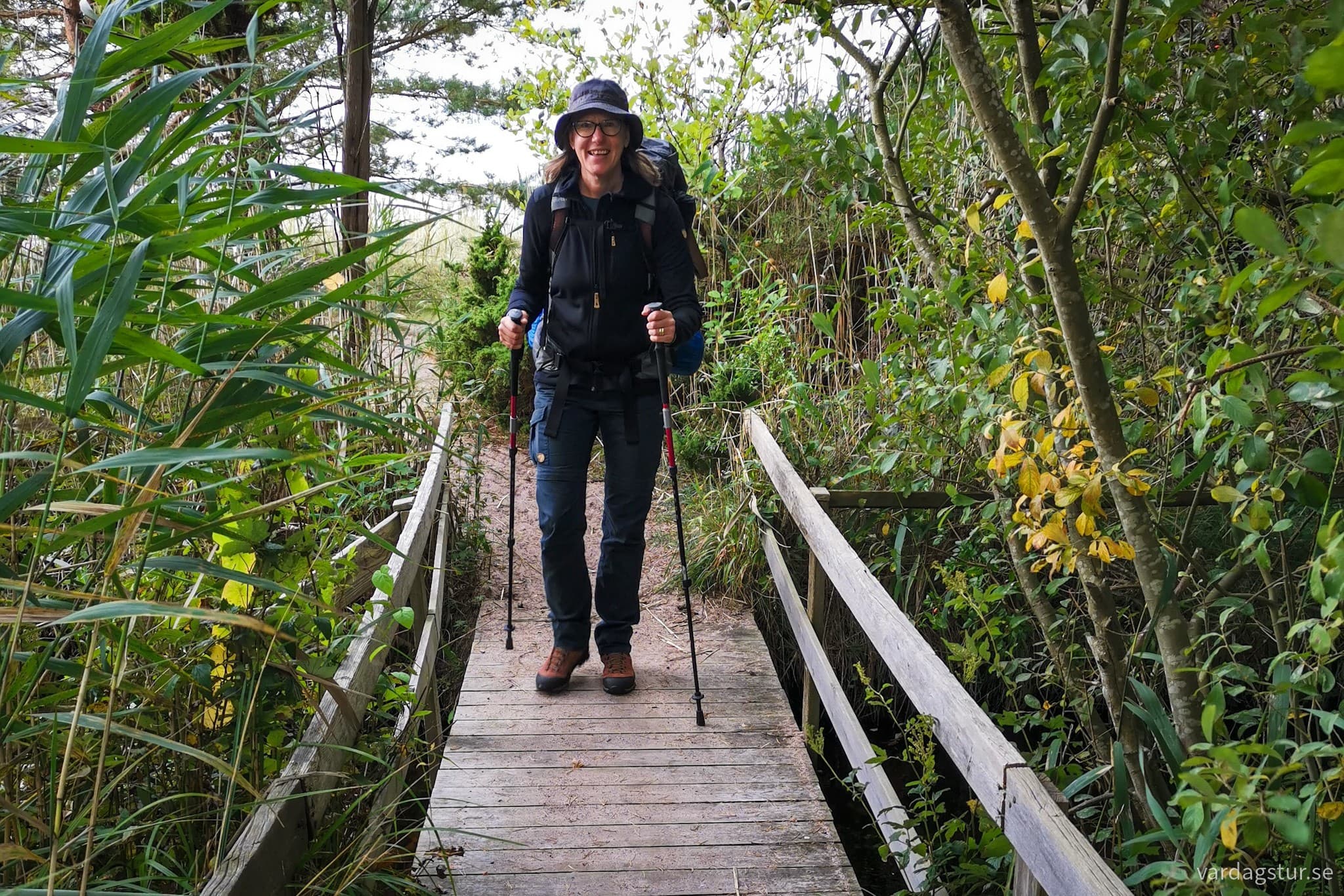 wp-17084639051395940964561235375157