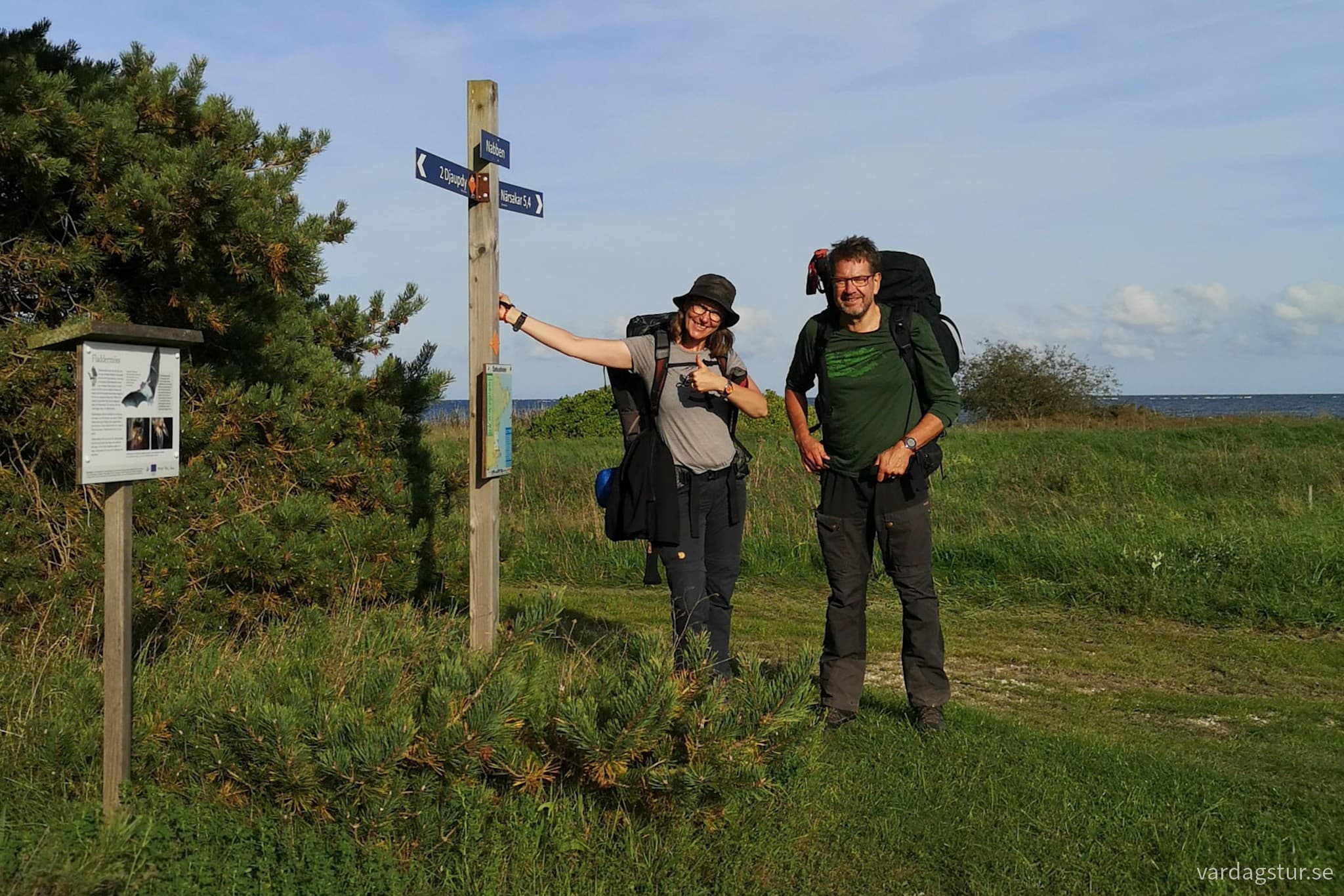 wp-17085354423134405623561916478756